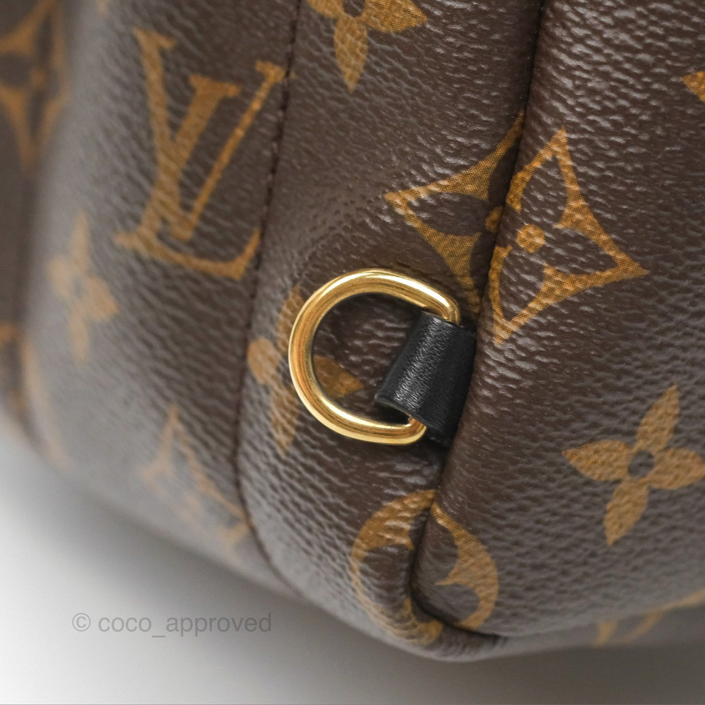 Louis Vuitton Mini Palm Springs Backpack⁣ Monogram Canvas