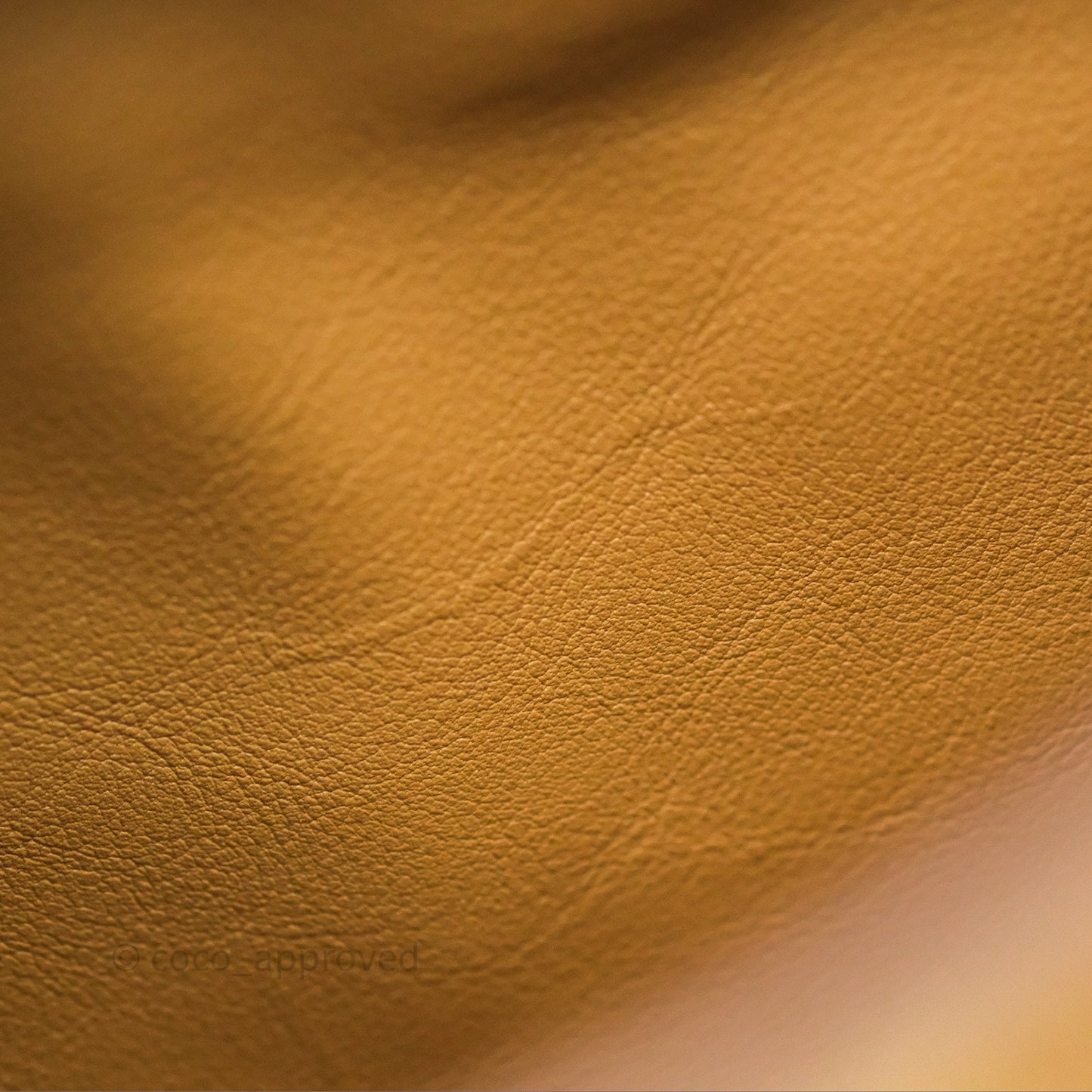 Hermès Mini Lindy 20 Biscuit 4B Clemence Gold Hardware With Rodeo