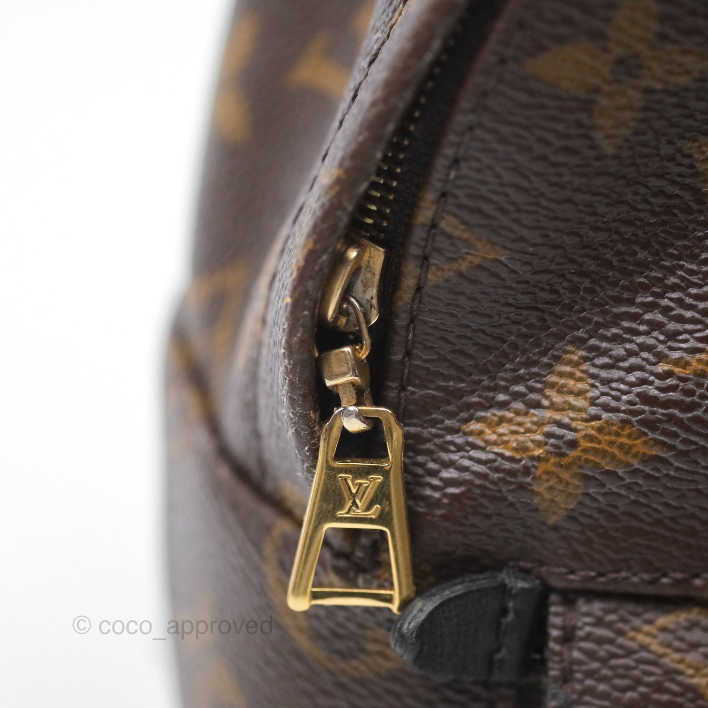 Louis Vuitton Monogram Mini Palm Springs Backpack⁣