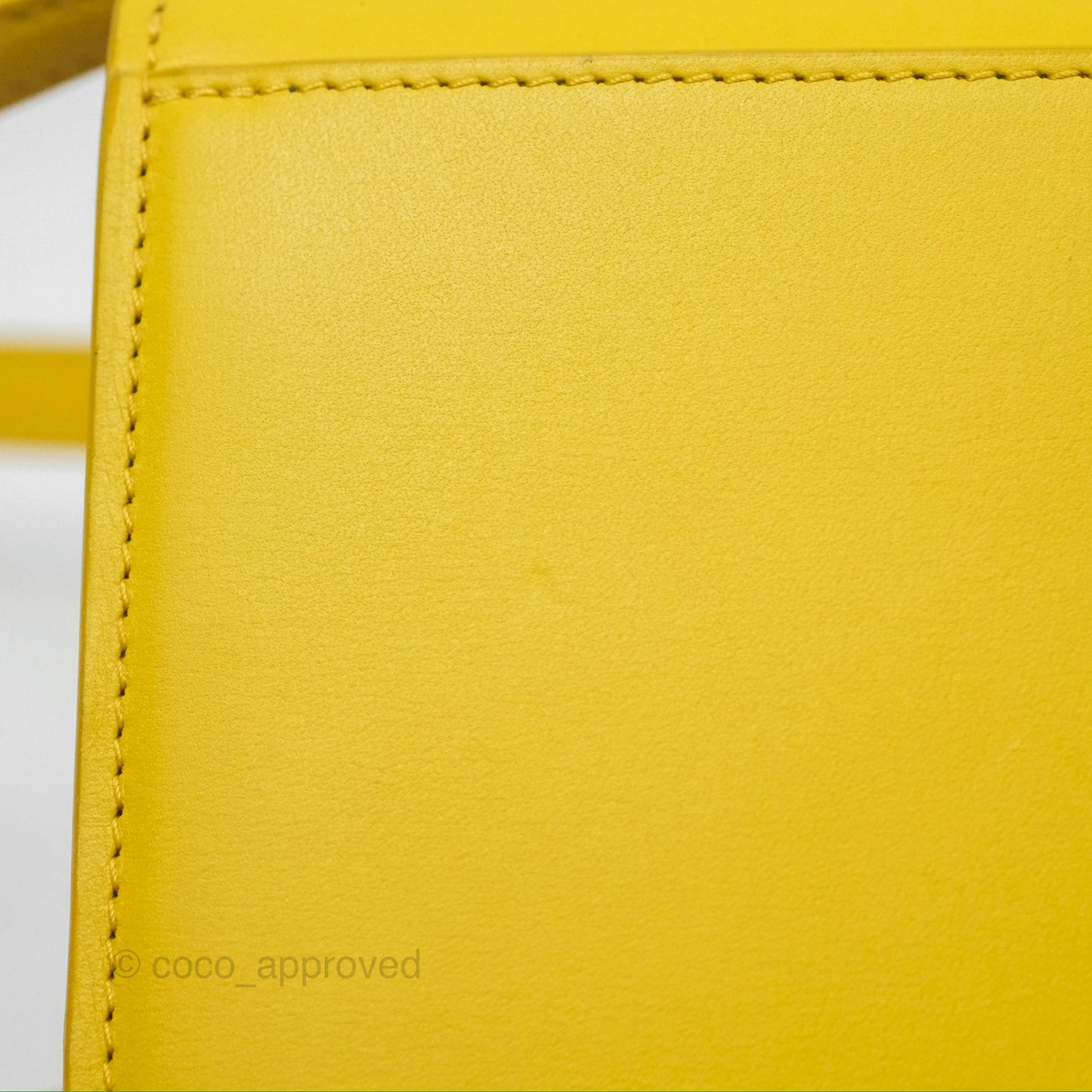 Loewe Small Goya Bag Yellow Silk Calfskin