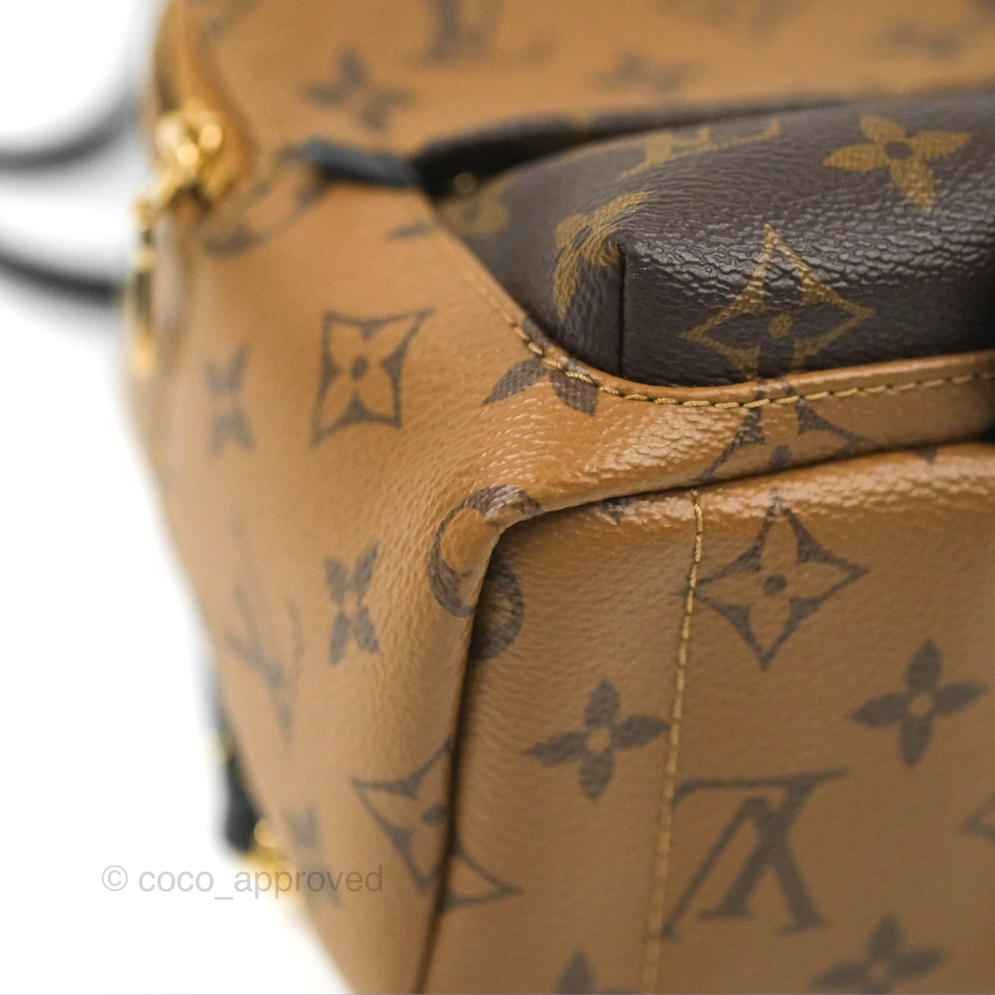 Louis Vuitton Reverse Mini Palm Springs Backpack⁣