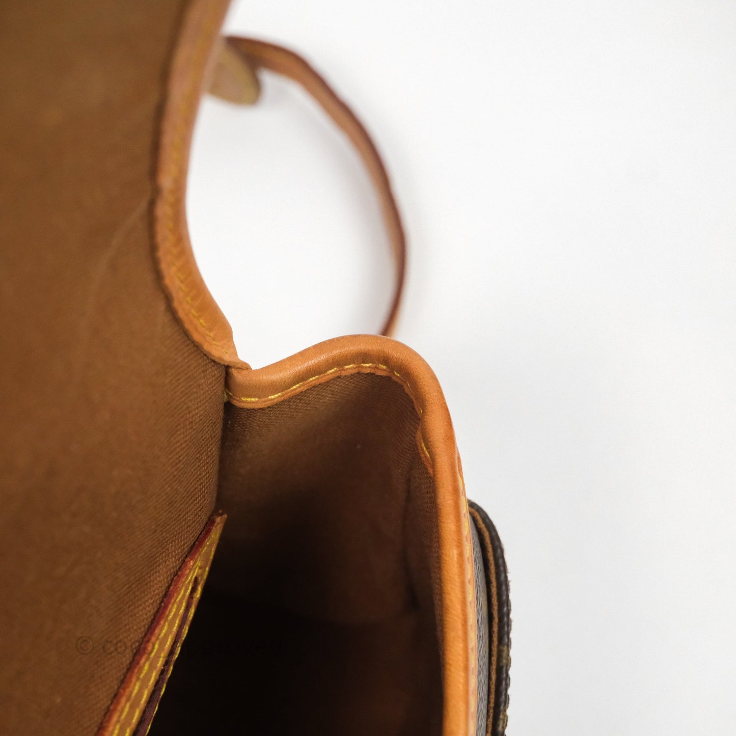 Louis Vuitton Vintage Diane Bag Monogram Canvas