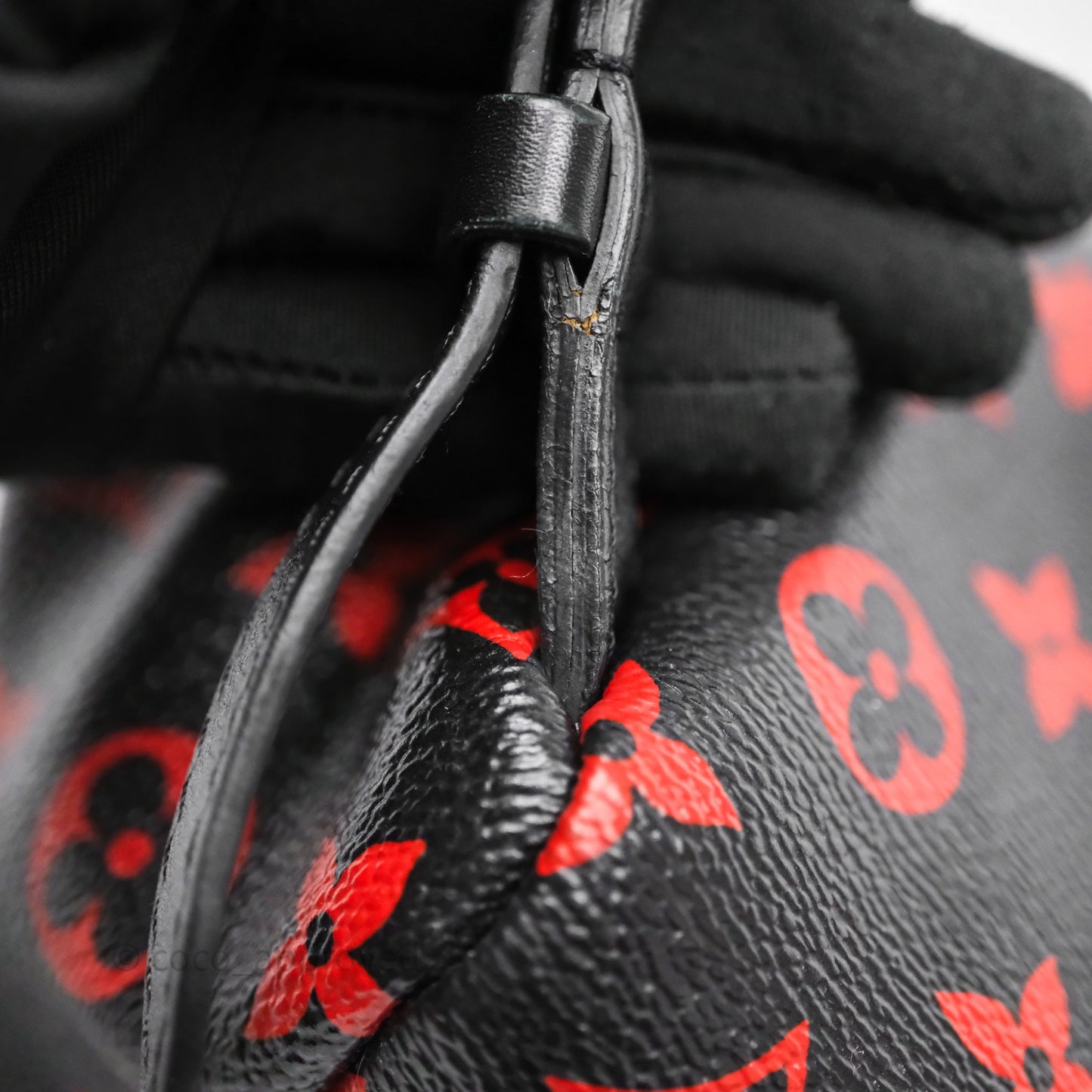 Louis Vuitton Palm Springs Backpack⁣ Monogram PM Infrarouge