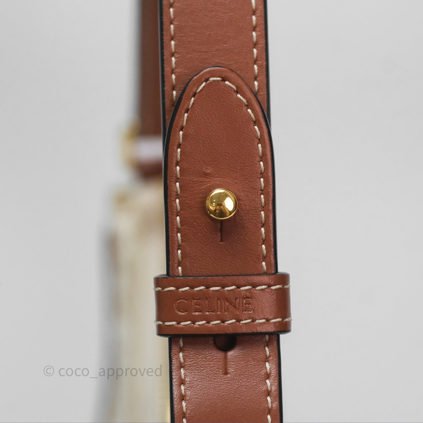 Celine Ava Bag In Triomphe Canvas Calfskin White