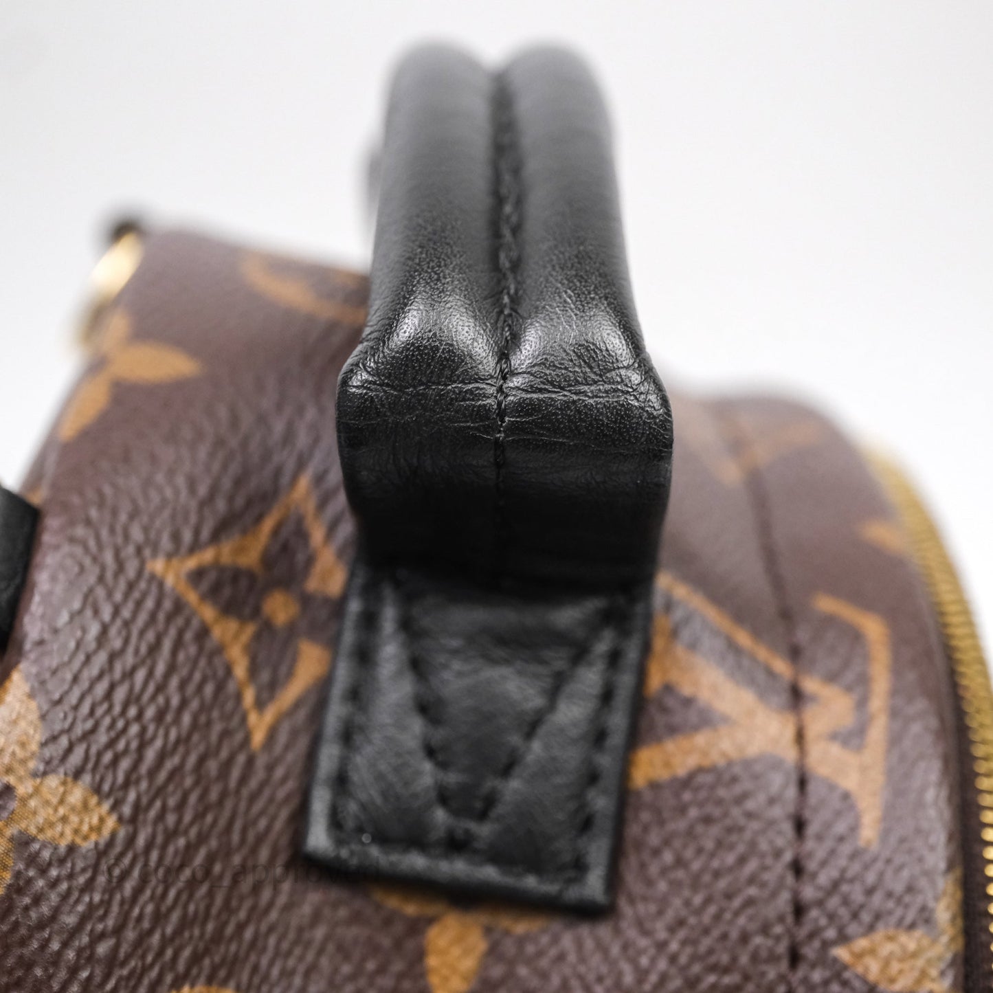 Louis Vuitton Mini Palm Springs Backpack⁣ Monogram