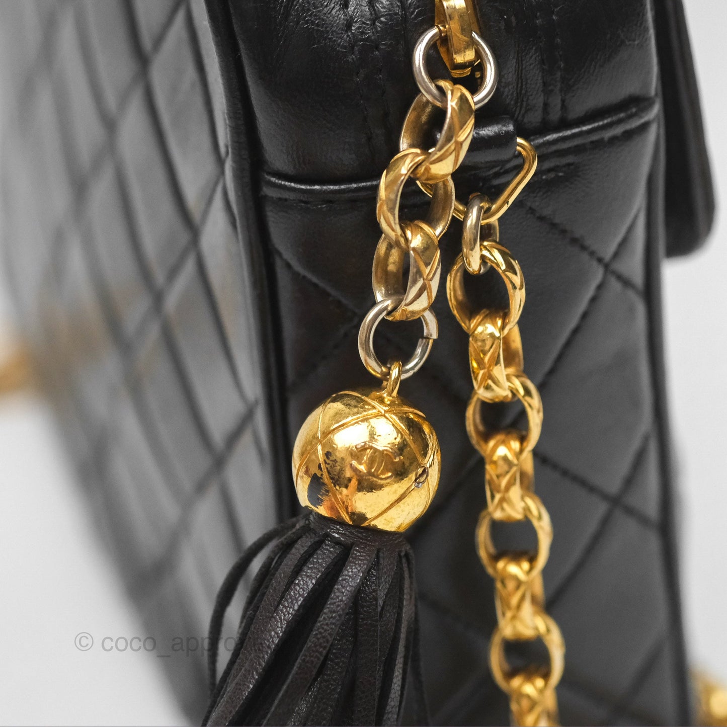 Chanel Vintage Diana Fringe Camera Bag Black Lambskin 24K Gold Hardware