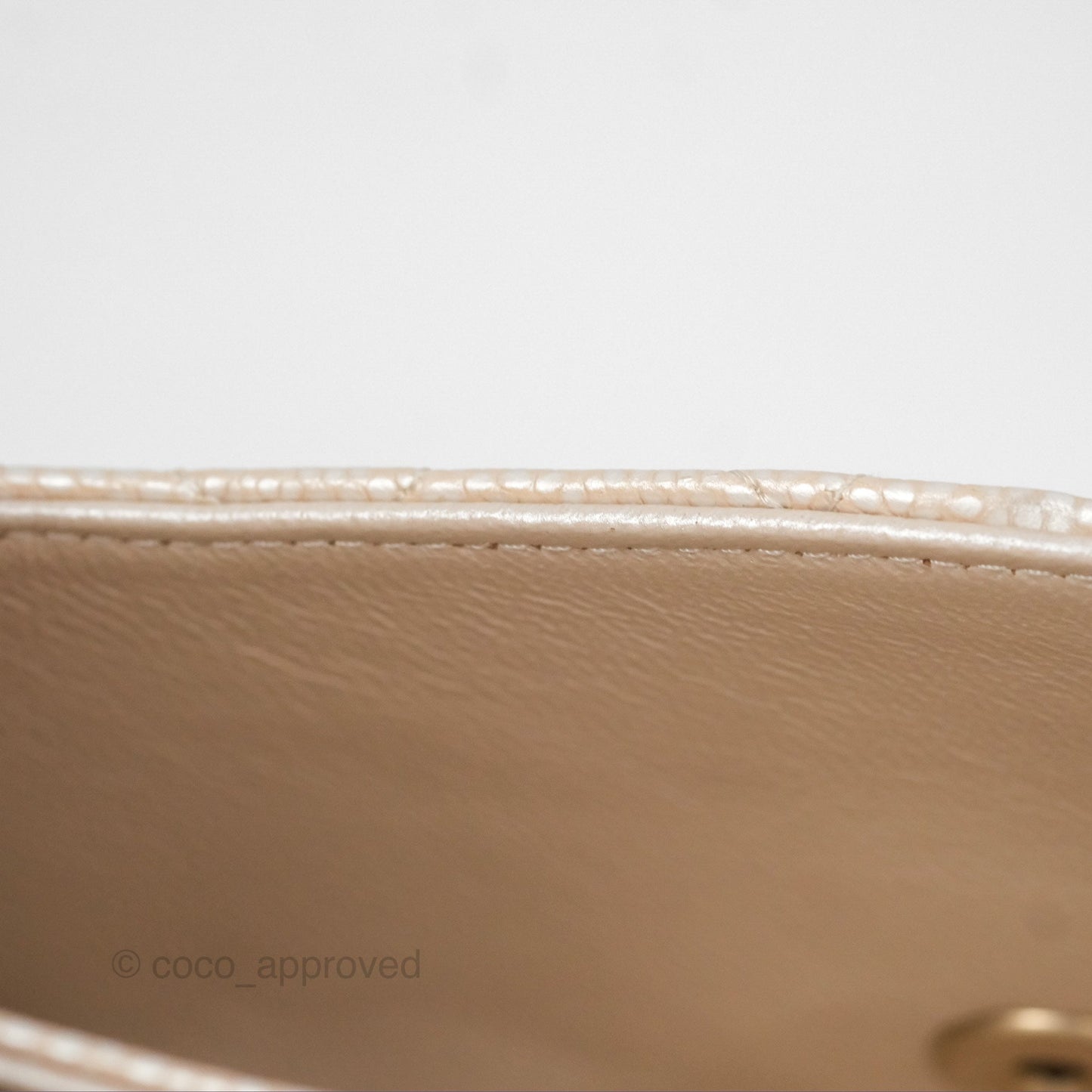 Chanel Classic M/L Medium Double Flap Iridescent Pearly Caviar Aged Gold Hardware⁣⁣