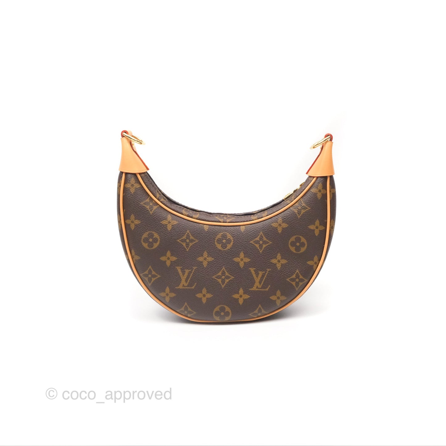 Louis Vuitton Loop Monogram Canvas
