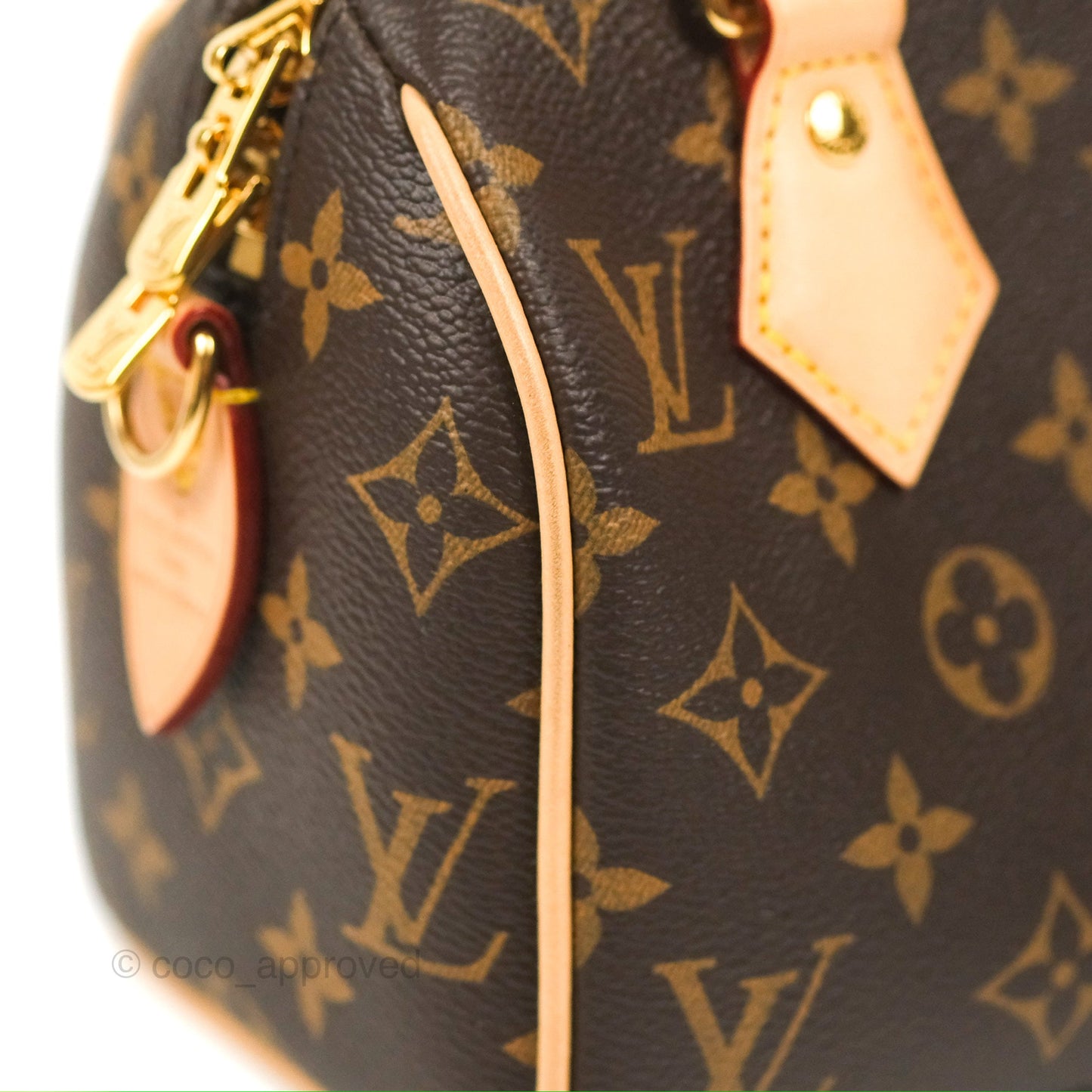 Louis Vuitton Speedy Bandoulière 20 Monogram