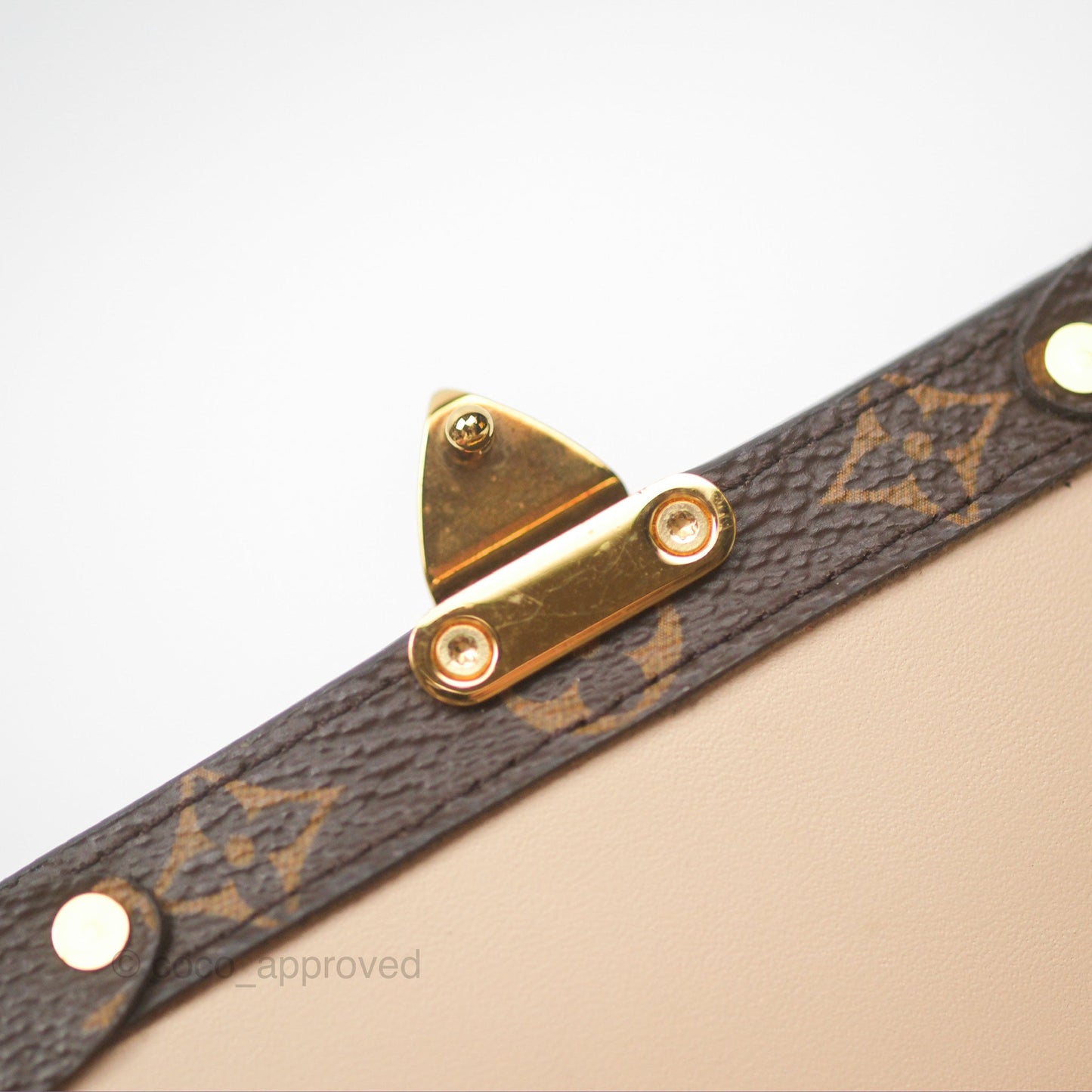 Louis Vuitton Reverse Monogram Pochette Vertical Trunk