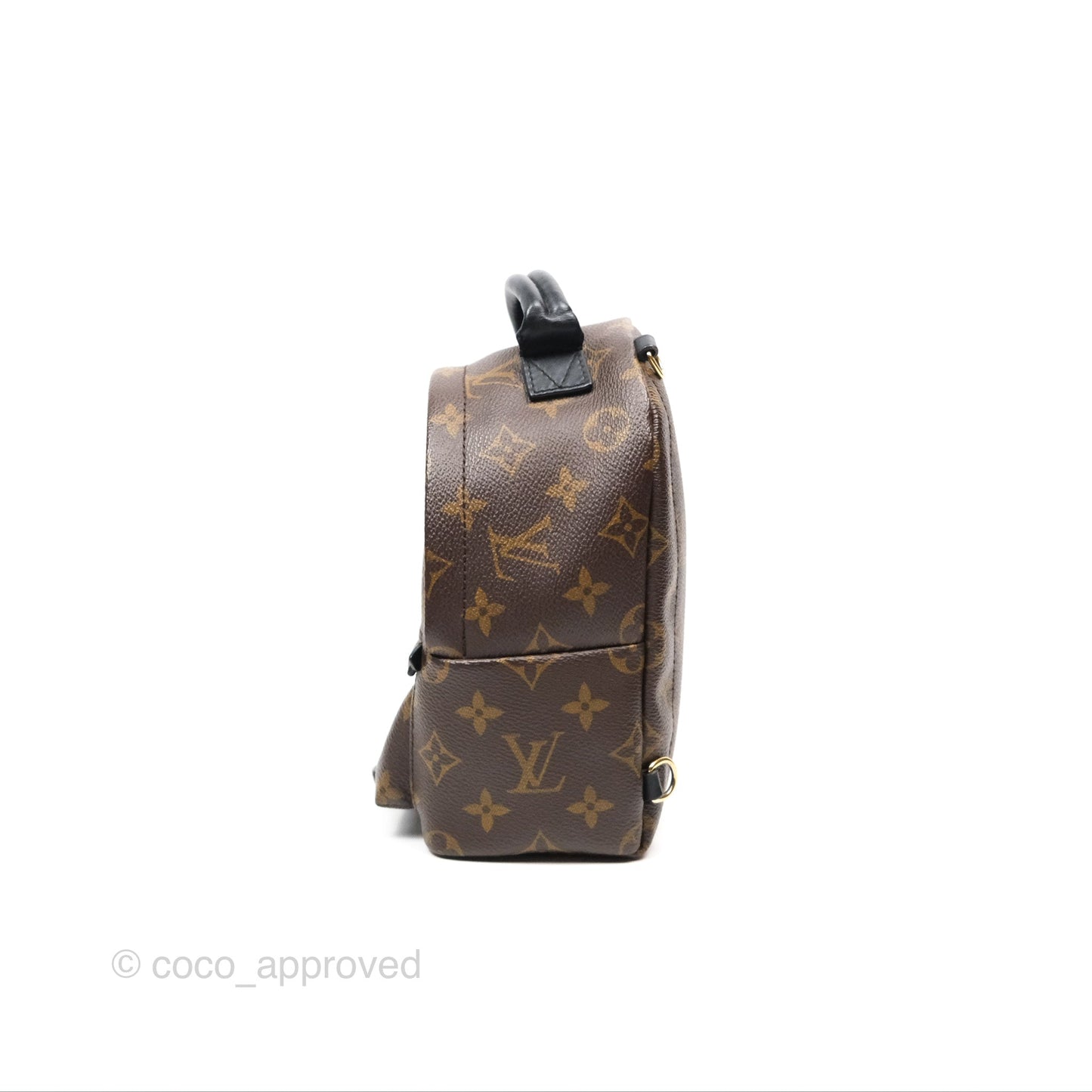 Louis Vuitton Mini Palm Springs Backpack⁣ Monogram