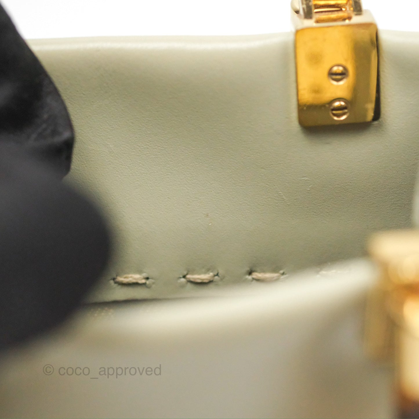 Fendi Mini Sunshine Shopper Bag Green Tea Tortoiseshell-effect Handle