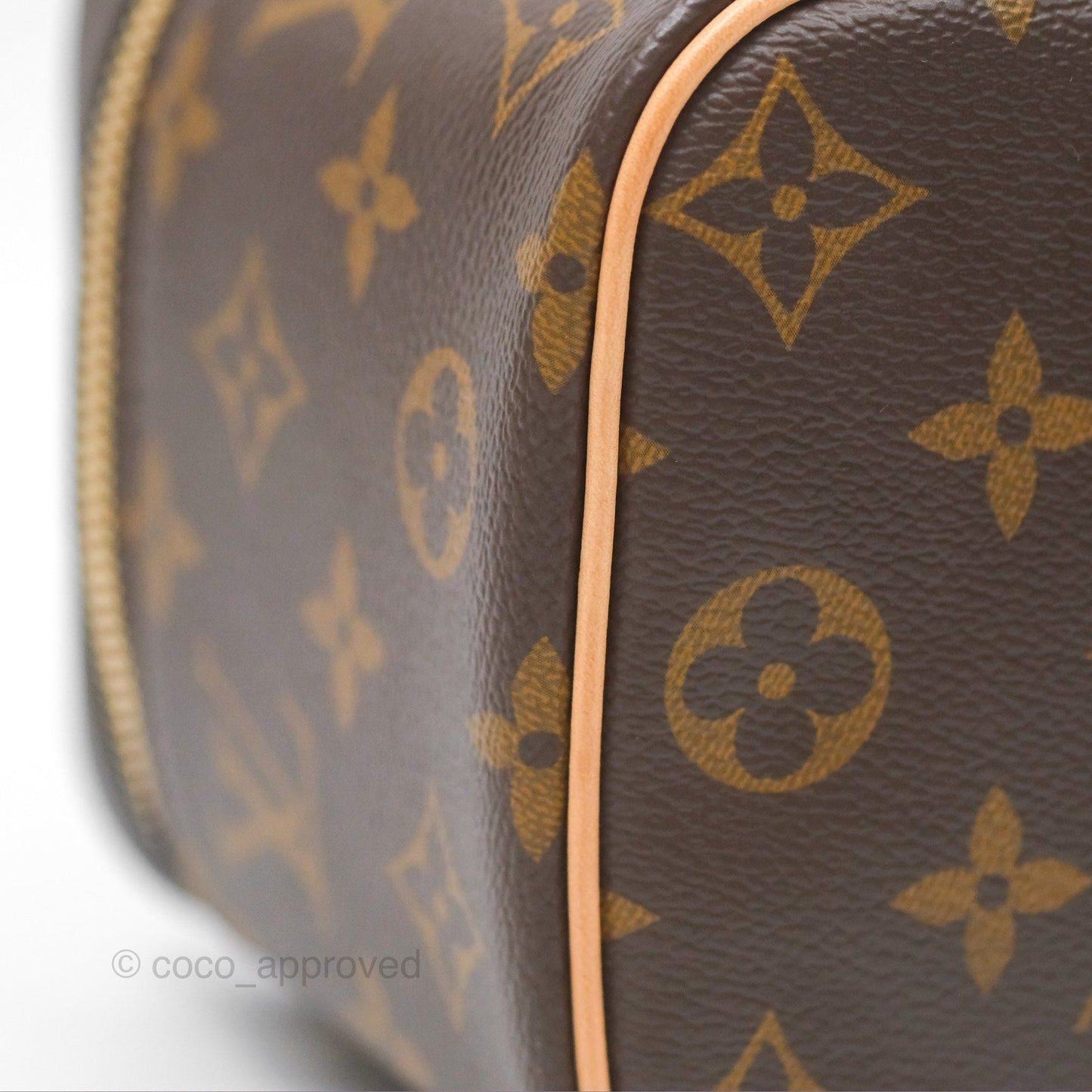 Louis Vuitton Monogram Nice Mini