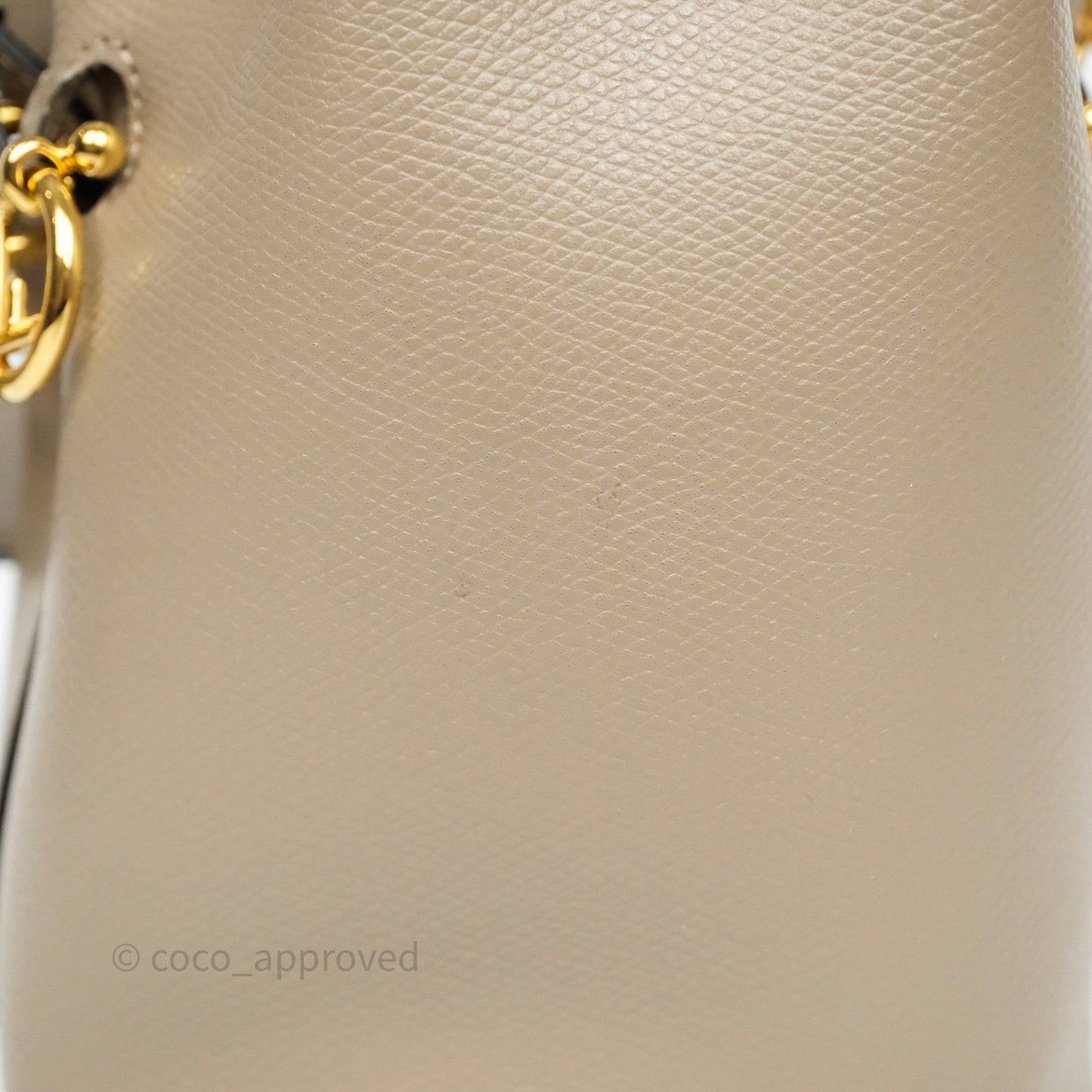 Fendi Mini Mon Tresor Bucket Bag Tortora Grained Calfskin