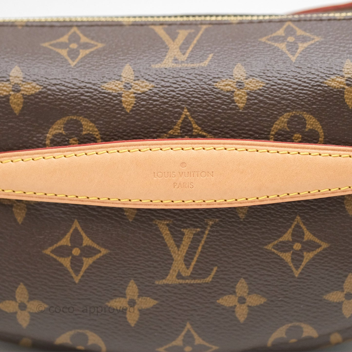 Louis Vuitton Bum Bag Monogram Canvas