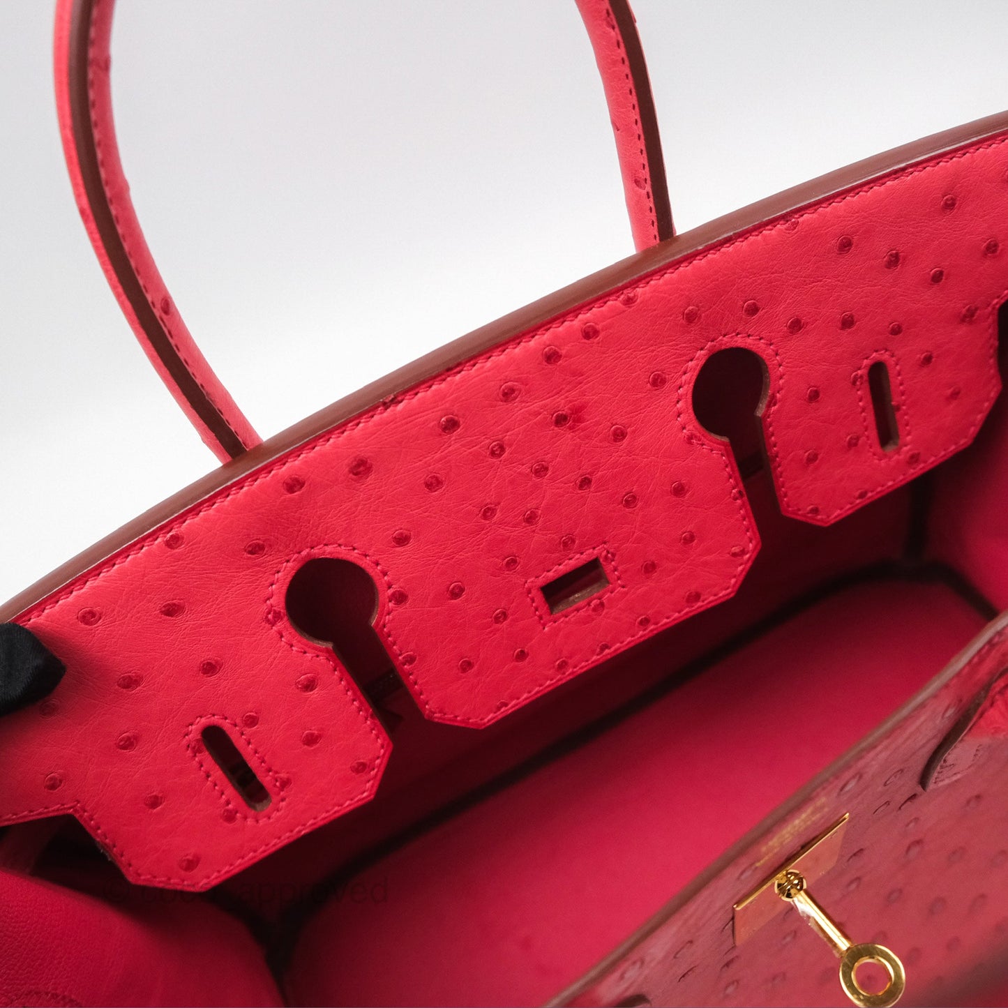 Hermès Birkin Retourne 30 Bougainvillea Ostrich Gold Hardware