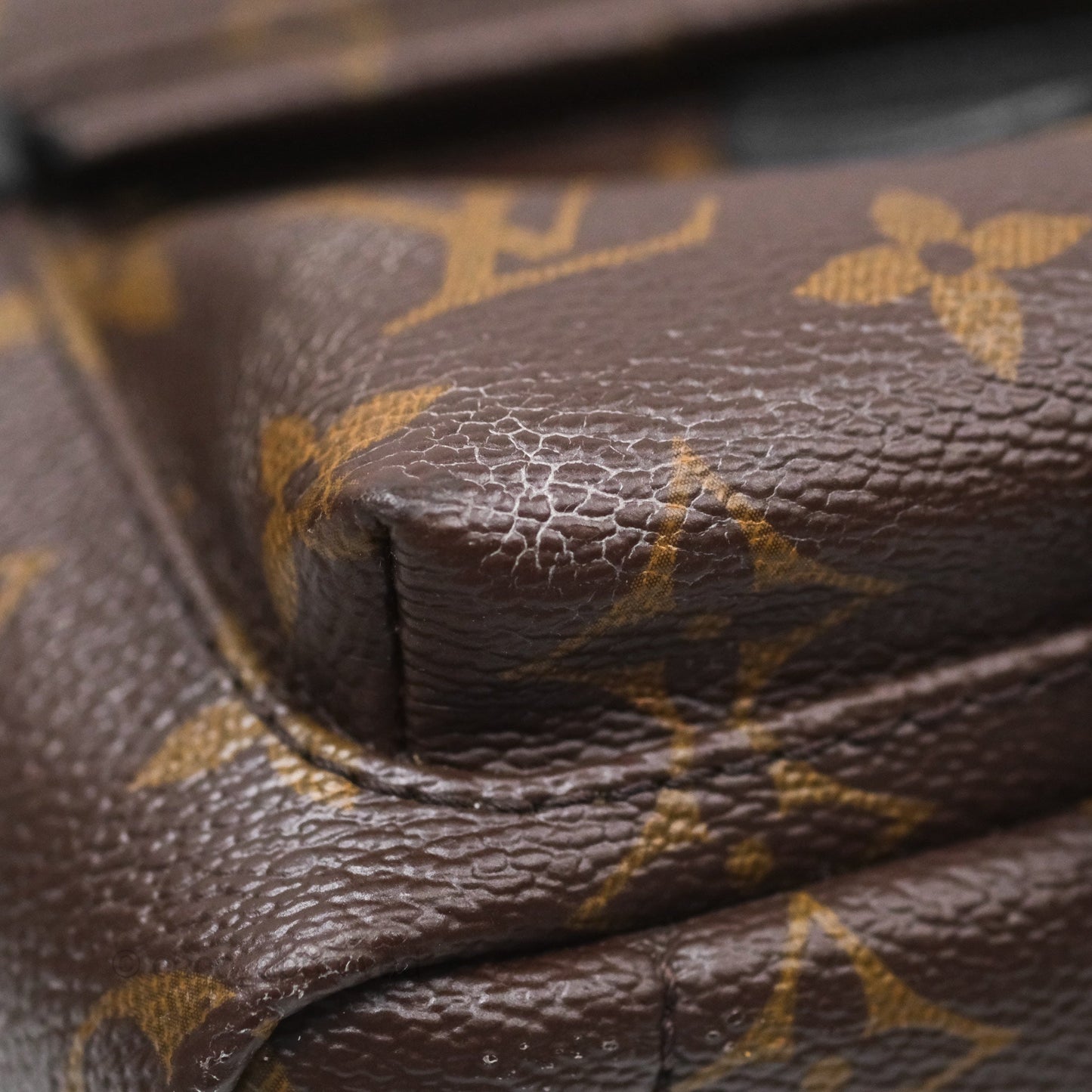 Louis Vuitton Monogram Mini Palm Springs Backpack⁣