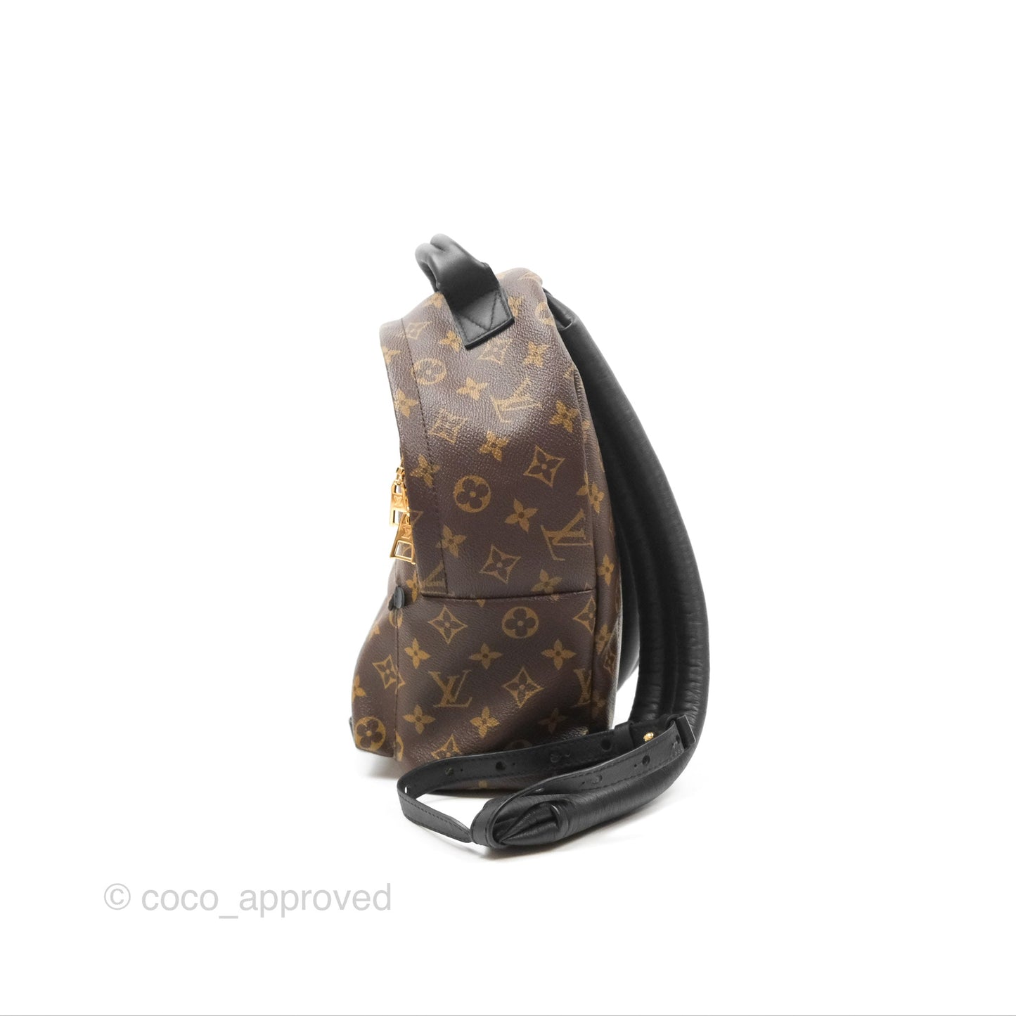 Louis Vuitton Palm Springs Backpack⁣ Monogram PM