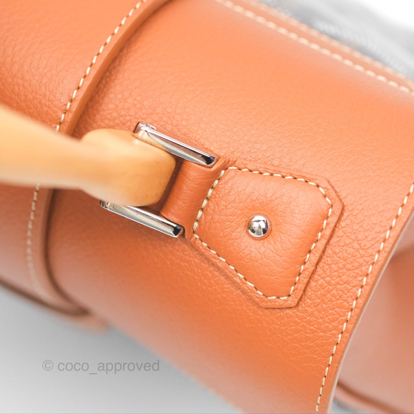 Goyard Saïgon Mini Bag Tan Goyardine Canvas/Chevroches Calfskin