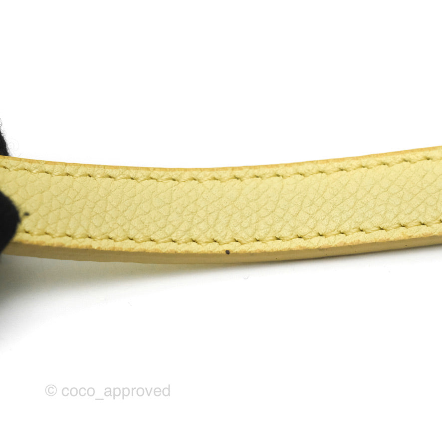 Celine Micro Belt Bag Yellow Grained Calfskin Silver Hardware
