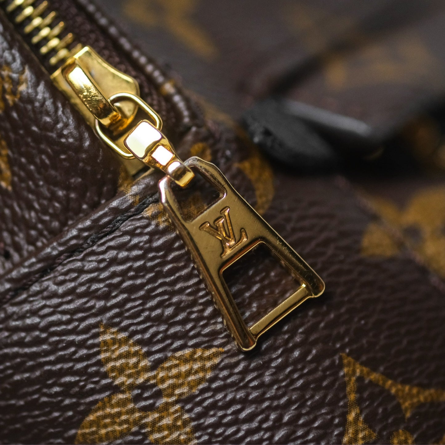 Louis Vuitton Monogram Mini Palm Springs Backpack⁣