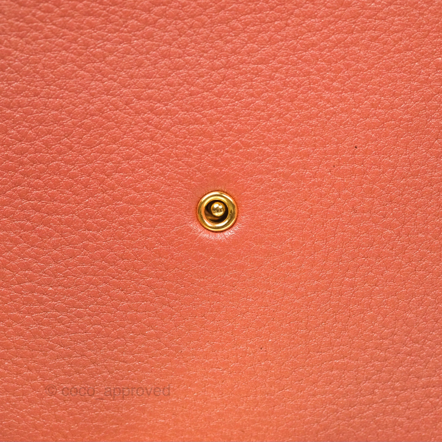 Louis Vuitton Vivienne Bag Brick Red Black