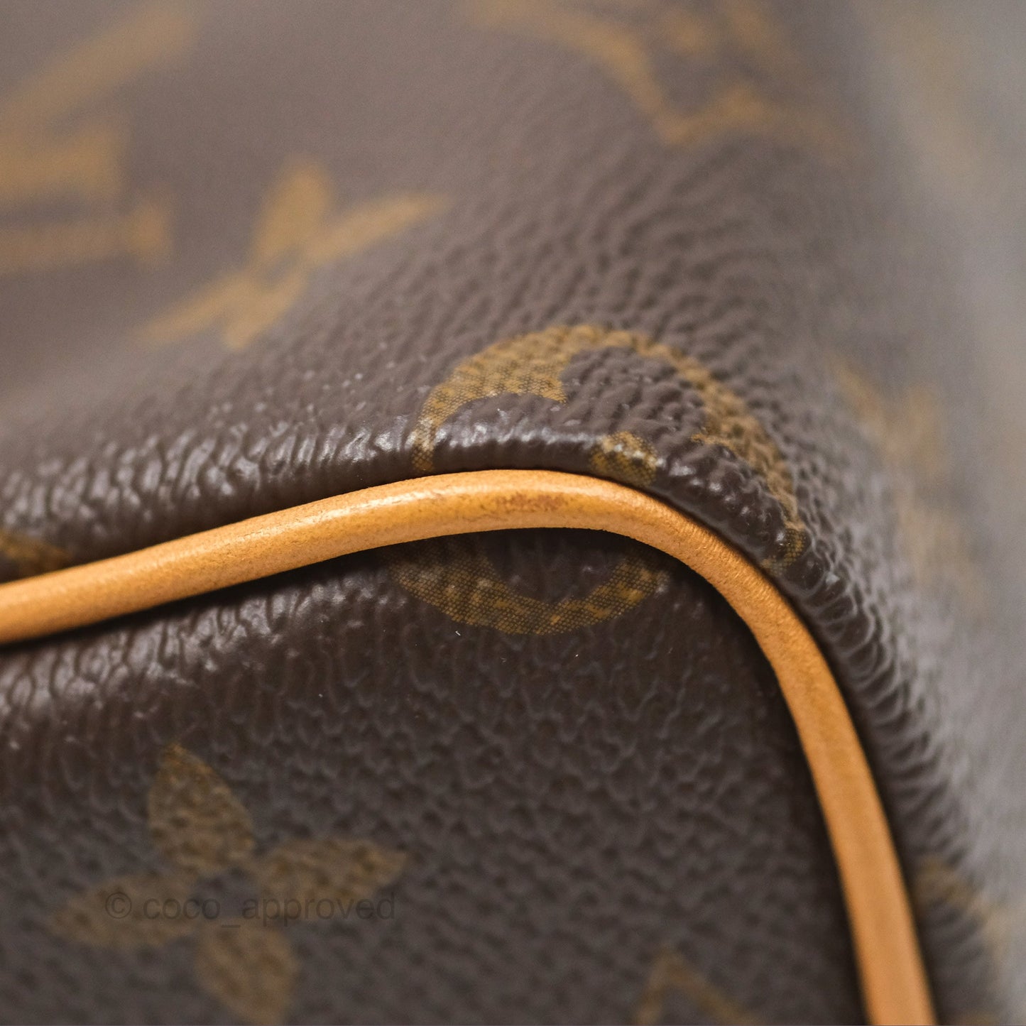 Louis Vuitton Nano Speedy Monogram