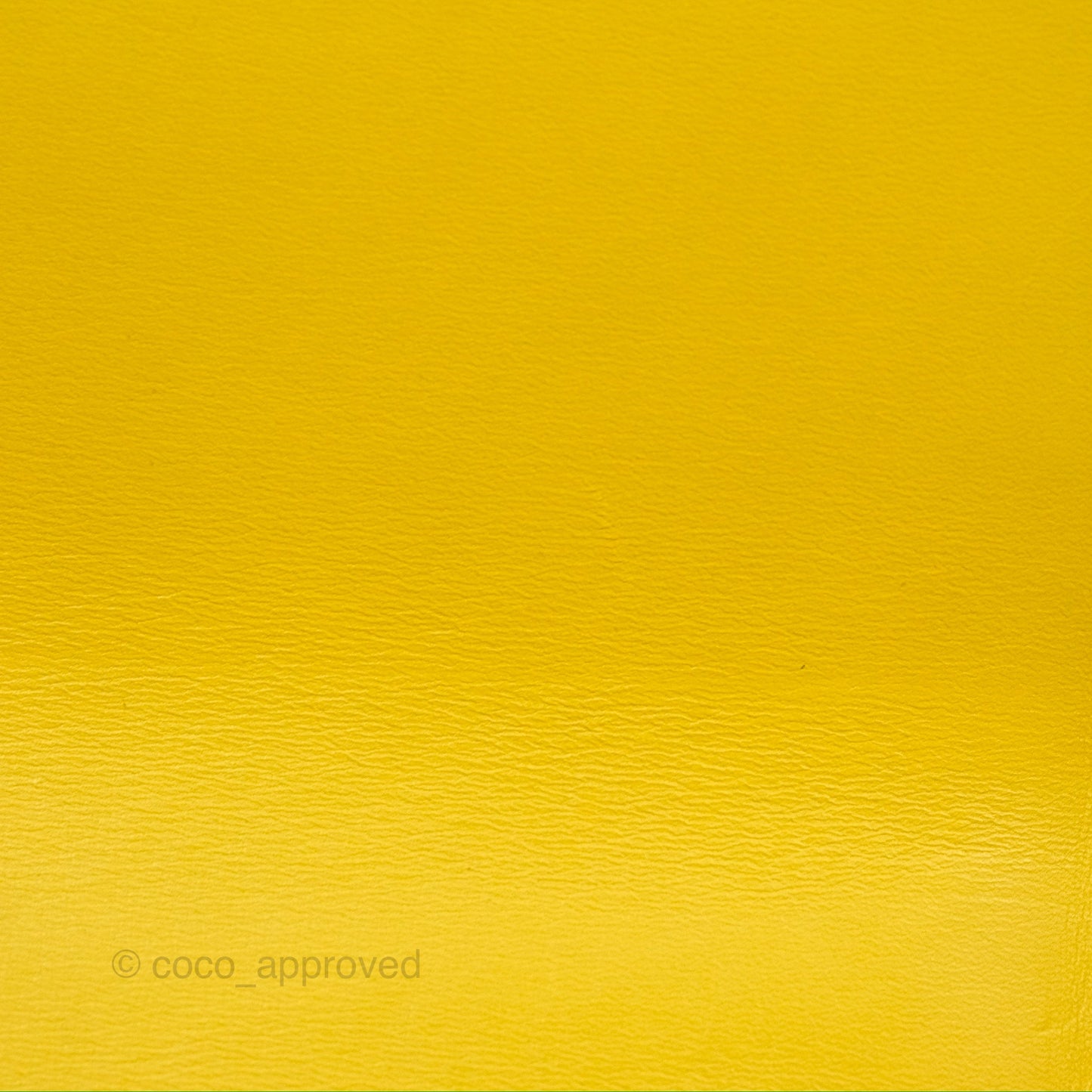 Loewe Small Goya Bag Yellow Silk Calfskin