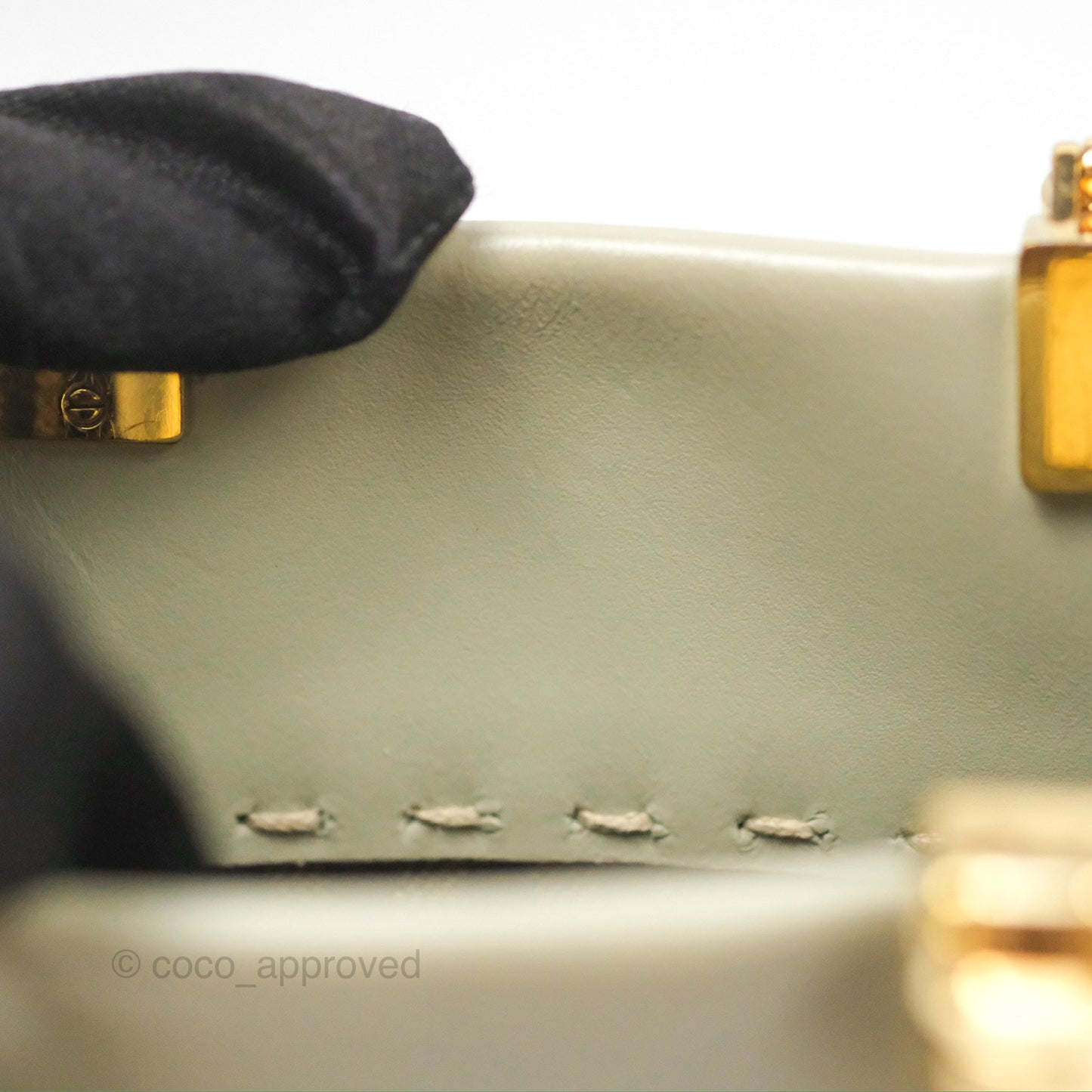 Fendi Mini Sunshine Shopper Bag Green Tea Tortoiseshell-effect Handle