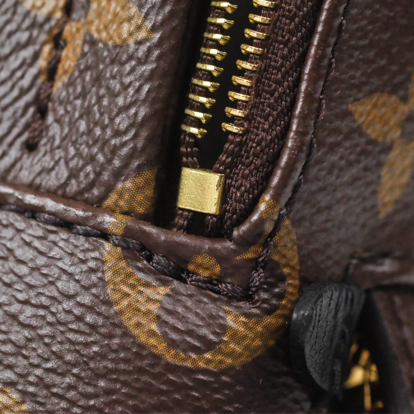 Louis Vuitton Monogram Mini Palm Springs Backpack⁣