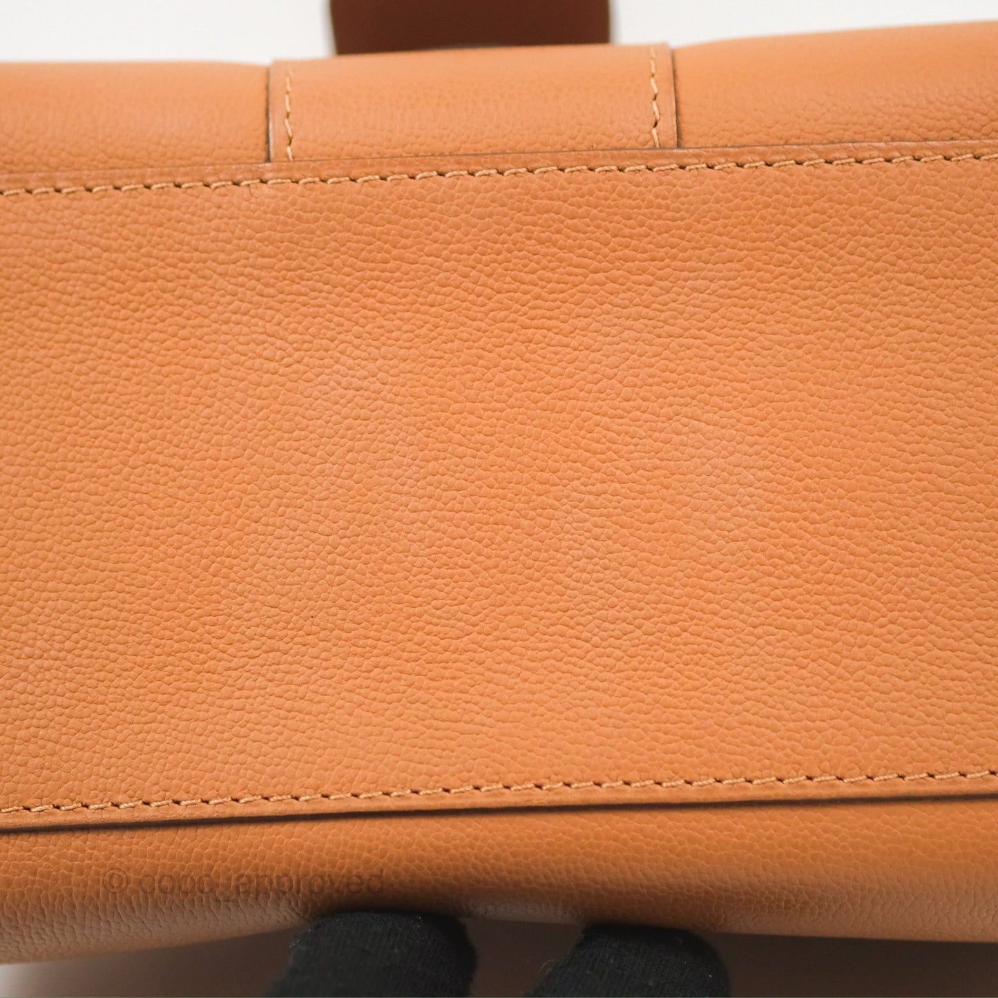Delvaux Mini Brillant Bag Vegetal Rodeo Calf Gold Hardware