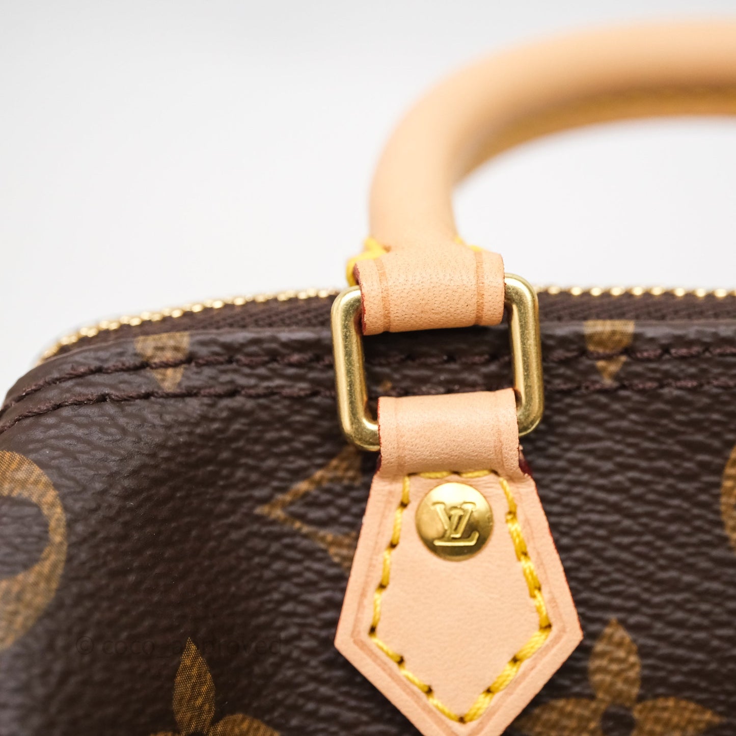 Louis Vuitton Nano Speedy Monogram Canvas