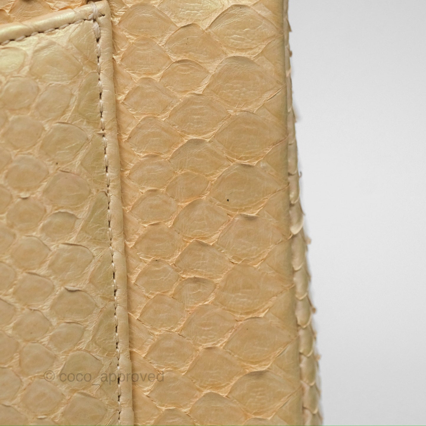 Chanel Jumbo Double Flap Iridescent Gold Python Gold Hardware⁣⁣