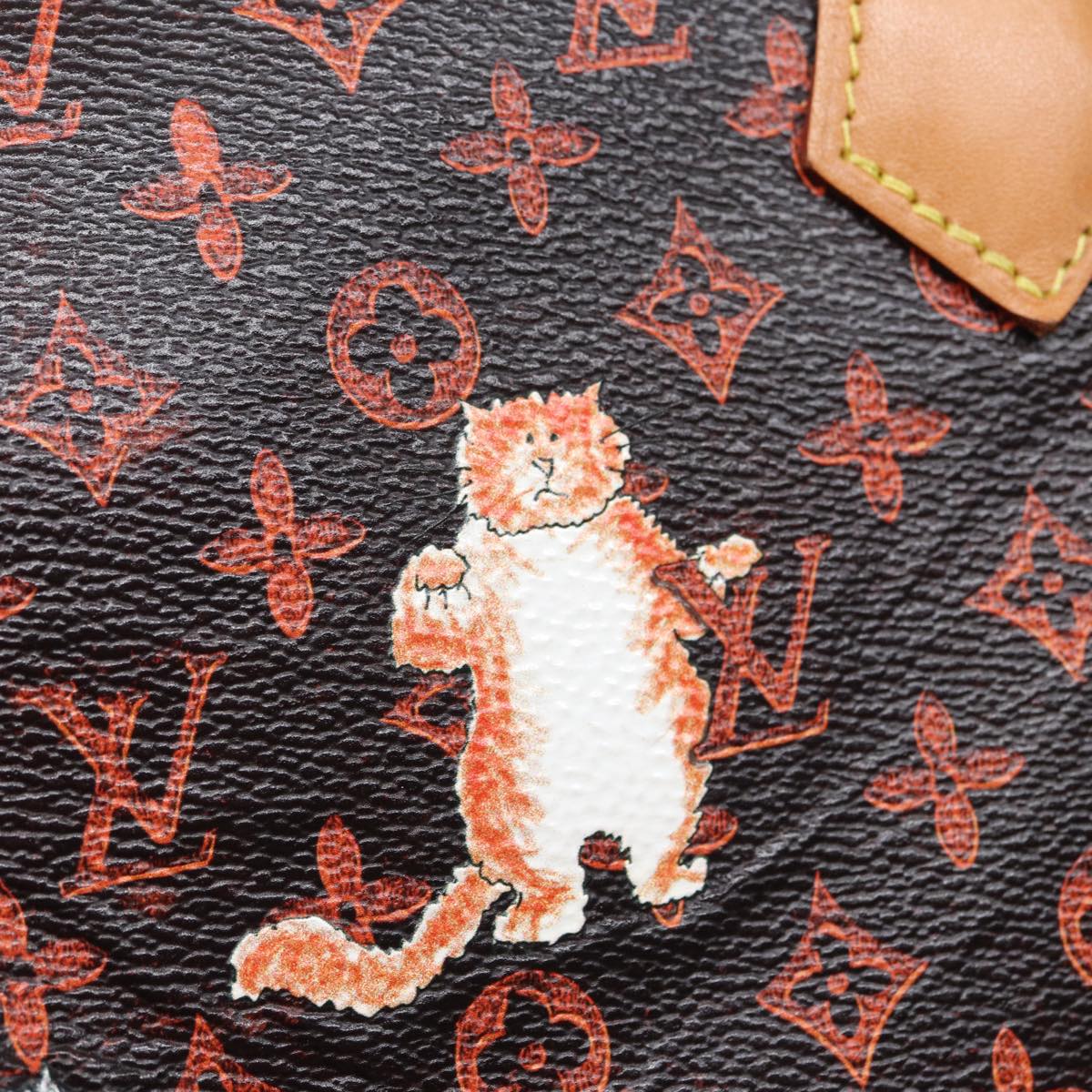 LOUIS VUITTON Catgram Speedy Bandouliere 30 Hand Bag Brown M44401 LV 84188