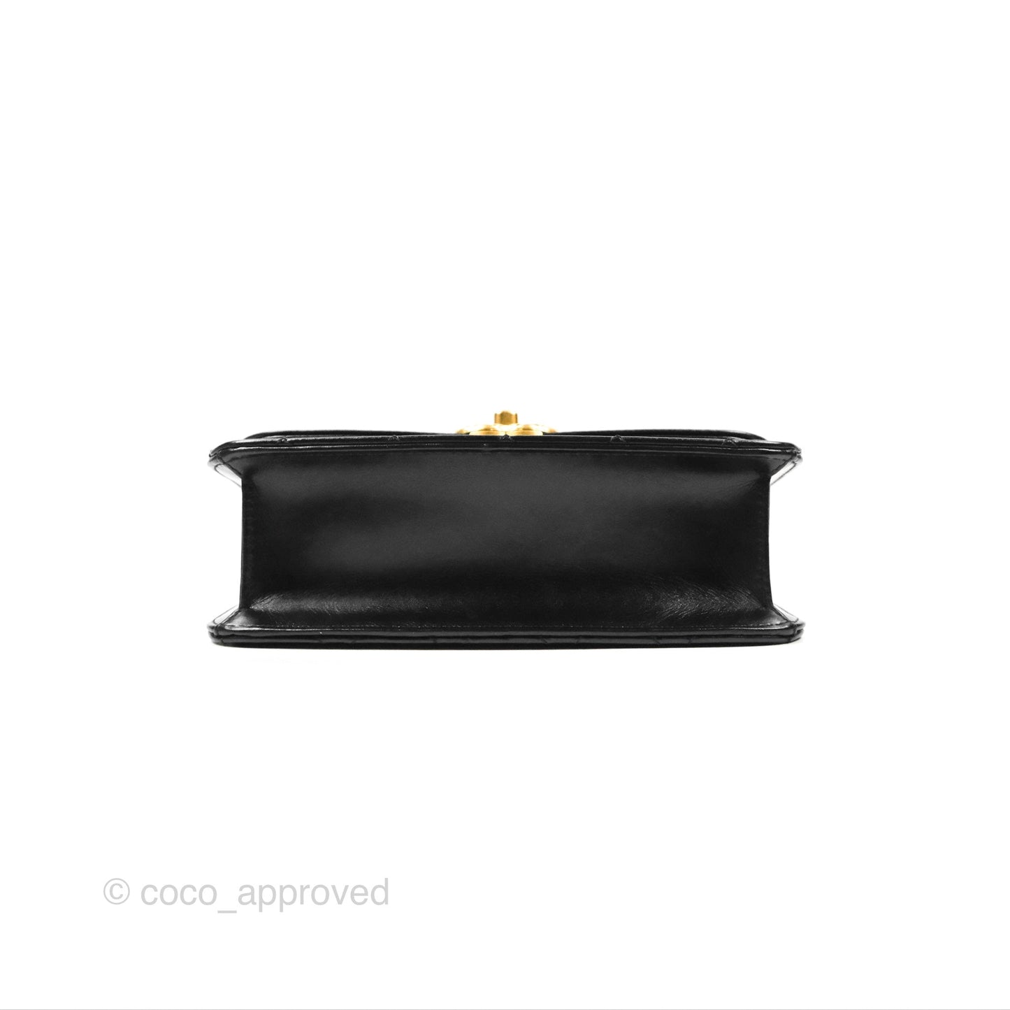 Chanel Mini Diana Flap Bag Black Calfskin Aged Gold Hardware 21B