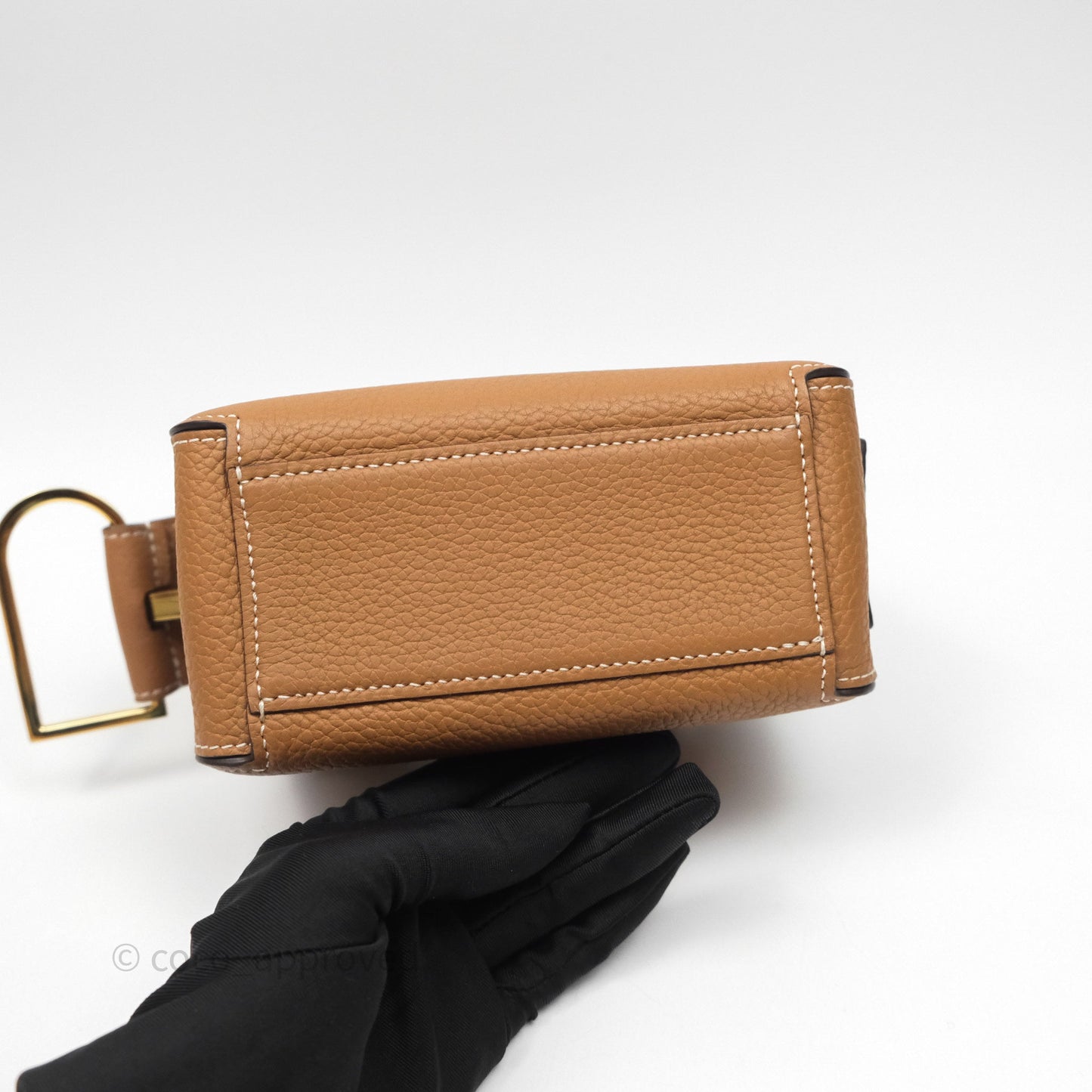 Delvaux Cool Box Nano Taurillon Soft Grained Calfskin Vegetal Ivory Gold Hardware
