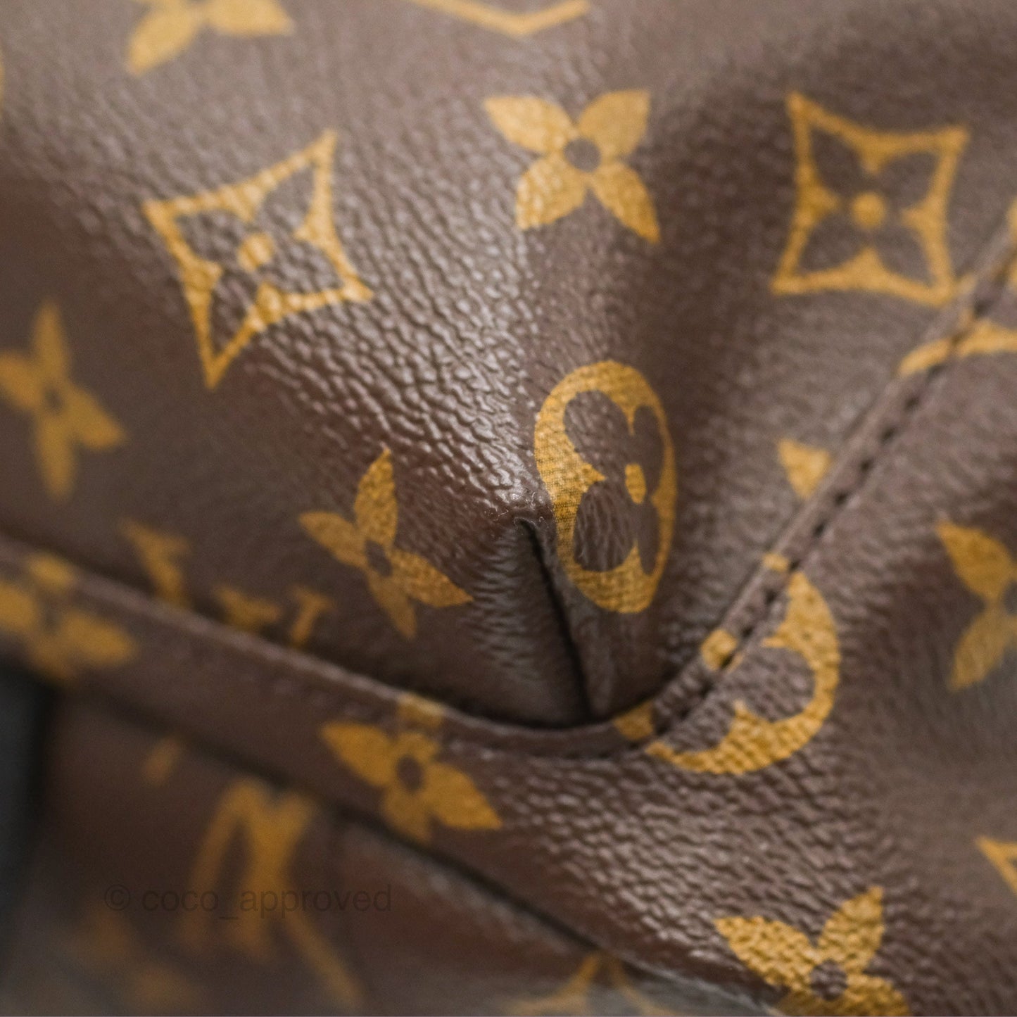 Louis Vuitton Palm Springs Backpack⁣ Monogram PM