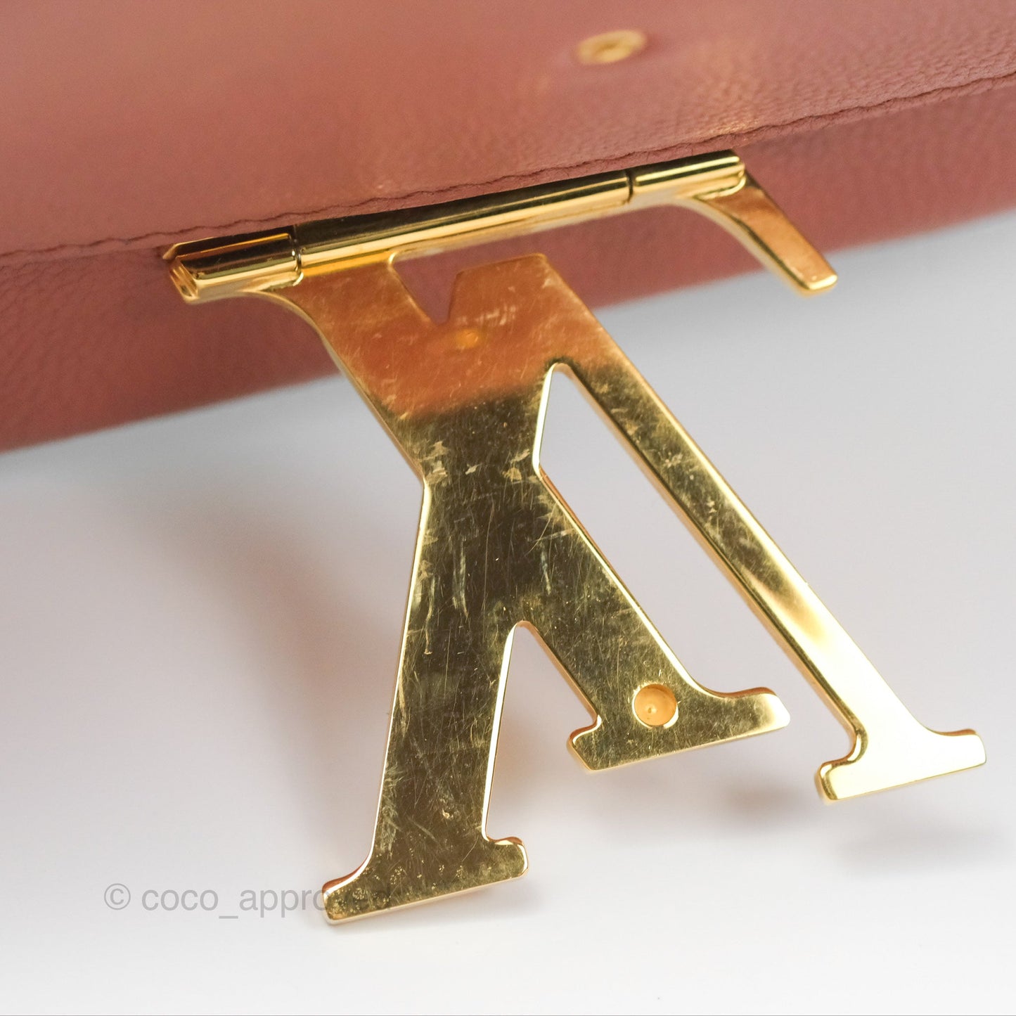 Louis Vuitton Vivienne Bag Brick Red Black