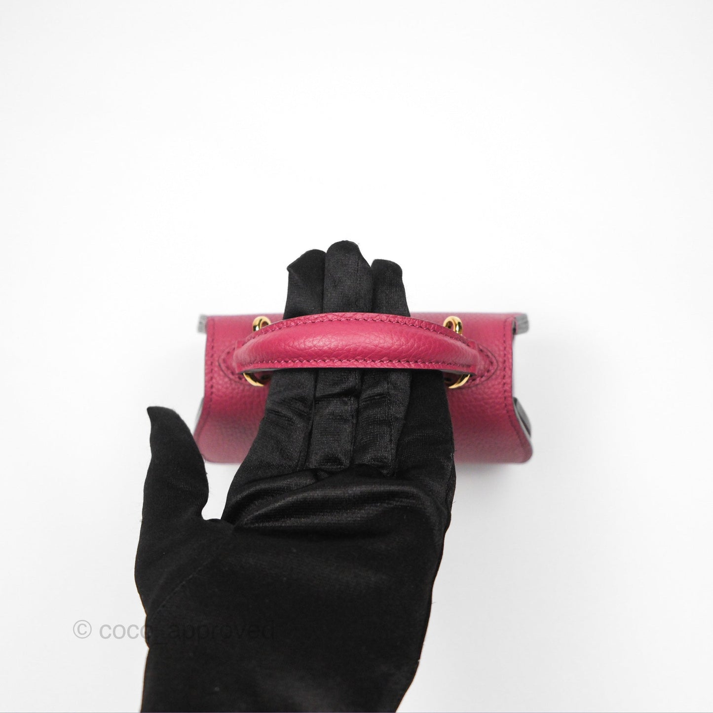 Moynat Réjane Nano Litchi Taurillon Blush Leather