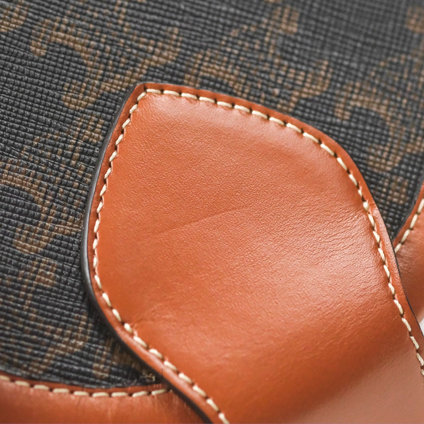 Celine Small Tambour Triomphe Canvas