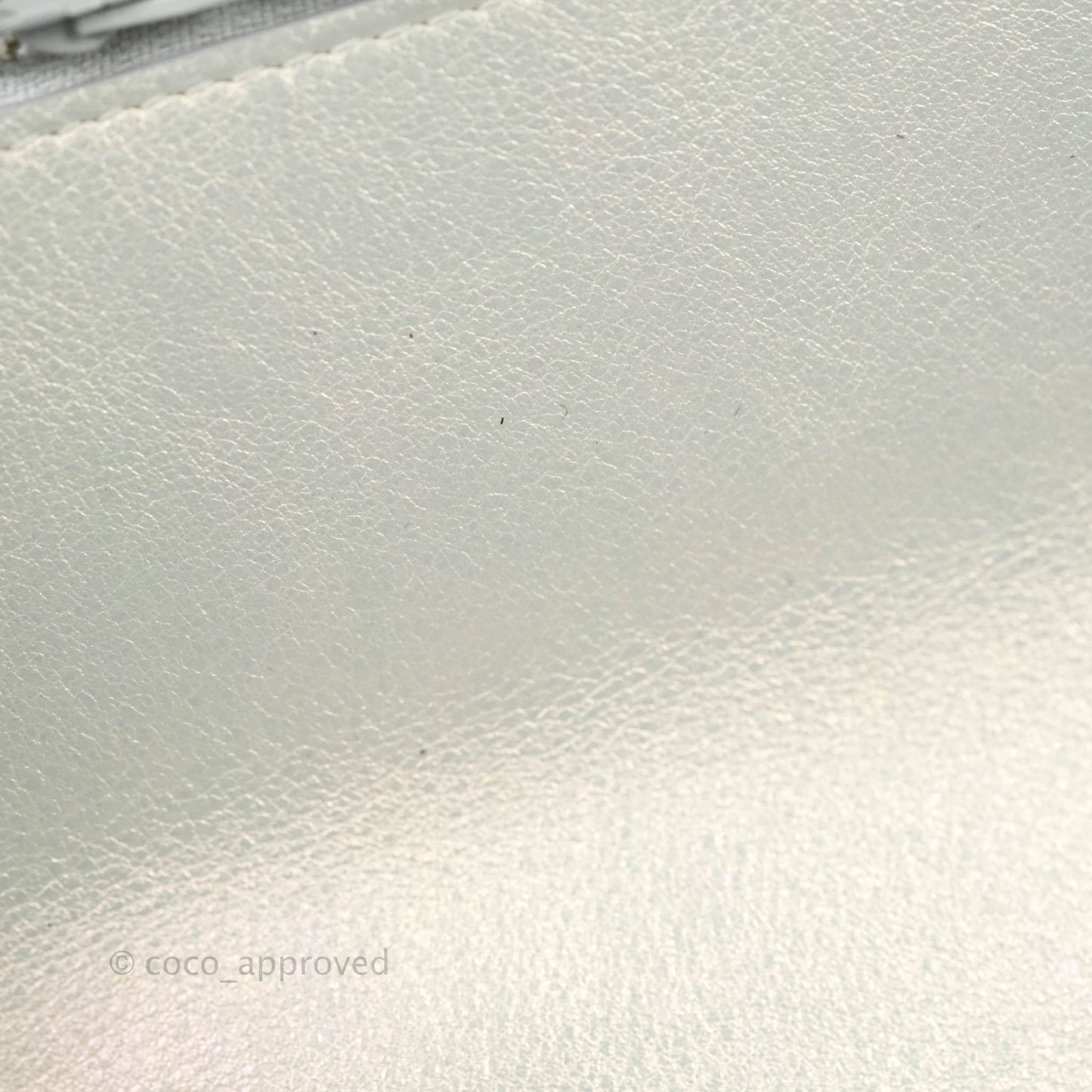 Chanel 19 Quilted Wallet on Chain WOC Iridescent White Mixed Hardware