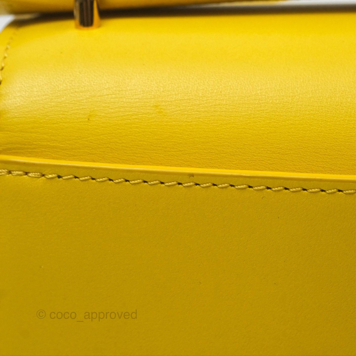 Loewe Small Goya Bag Yellow Silk Calfskin
