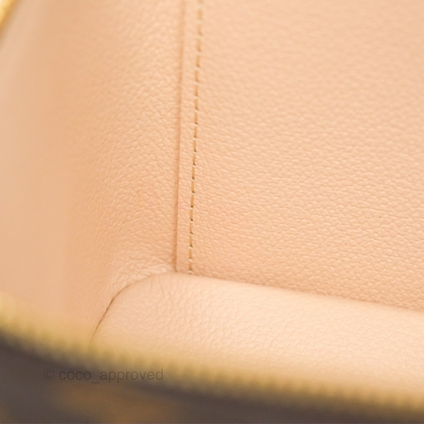 Louis Vuitton Monogram Nice Mini