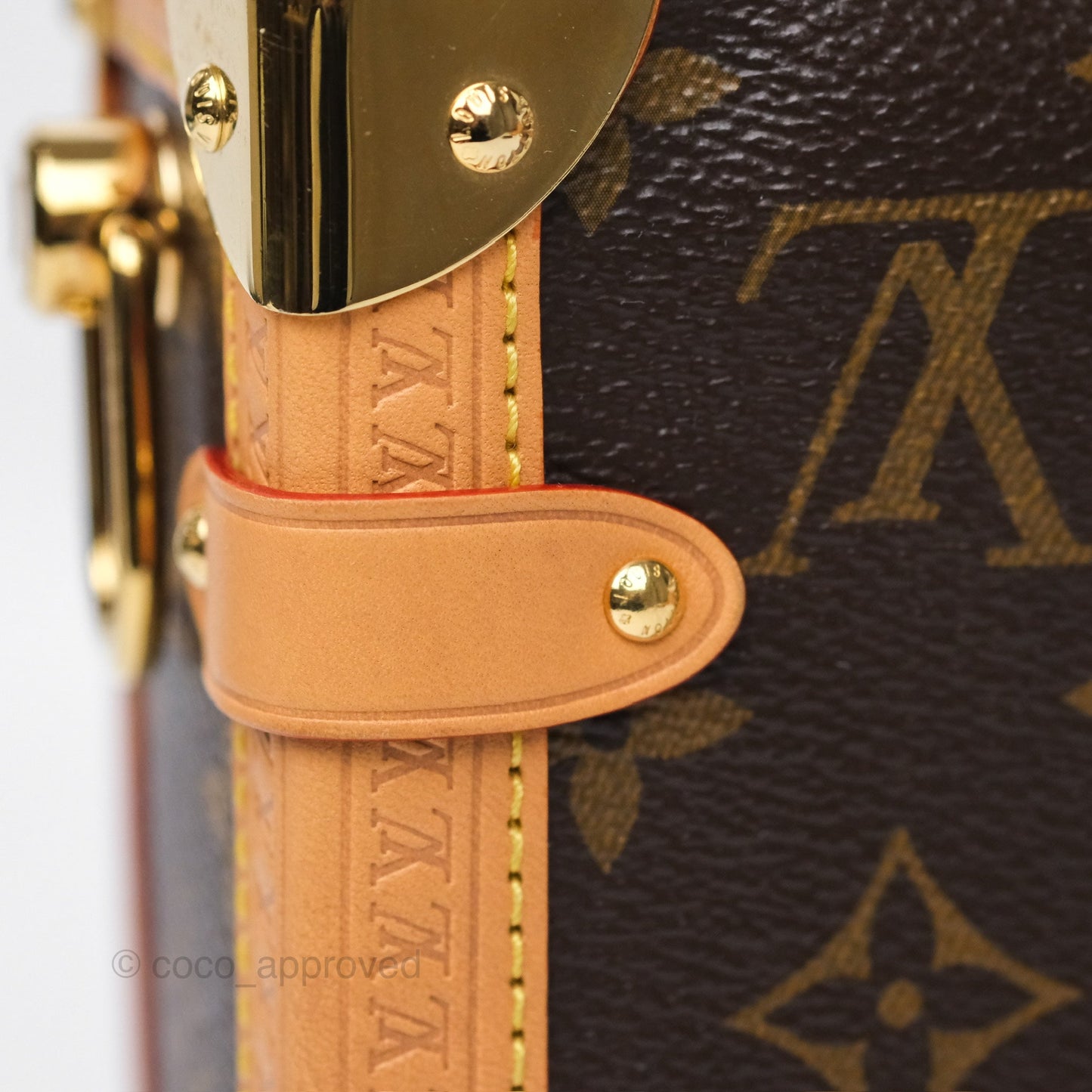 Louis Vuitton Side Trunk MM Monogram Canvas