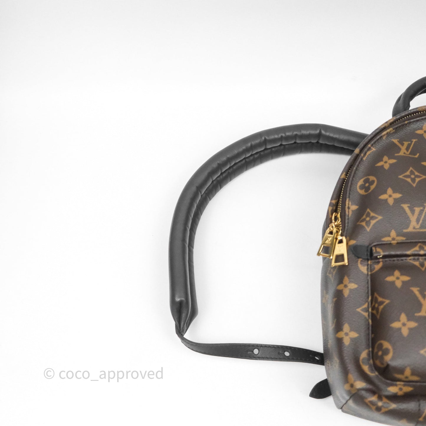 Louis Vuitton Palm Springs Backpack⁣ Monogram PM