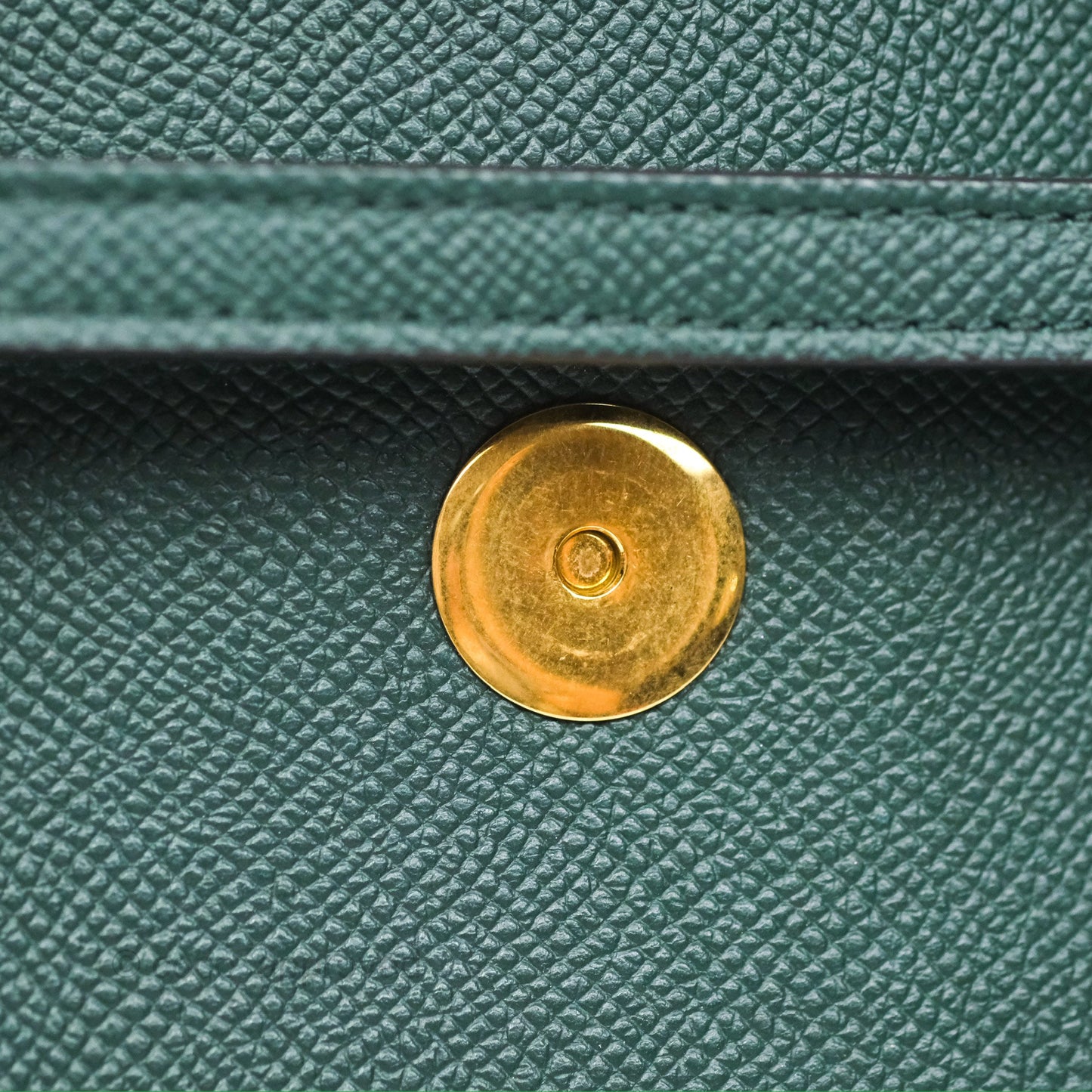 Celine Nano Belt Bag Amazone Grained Calfskin Gold Hardware