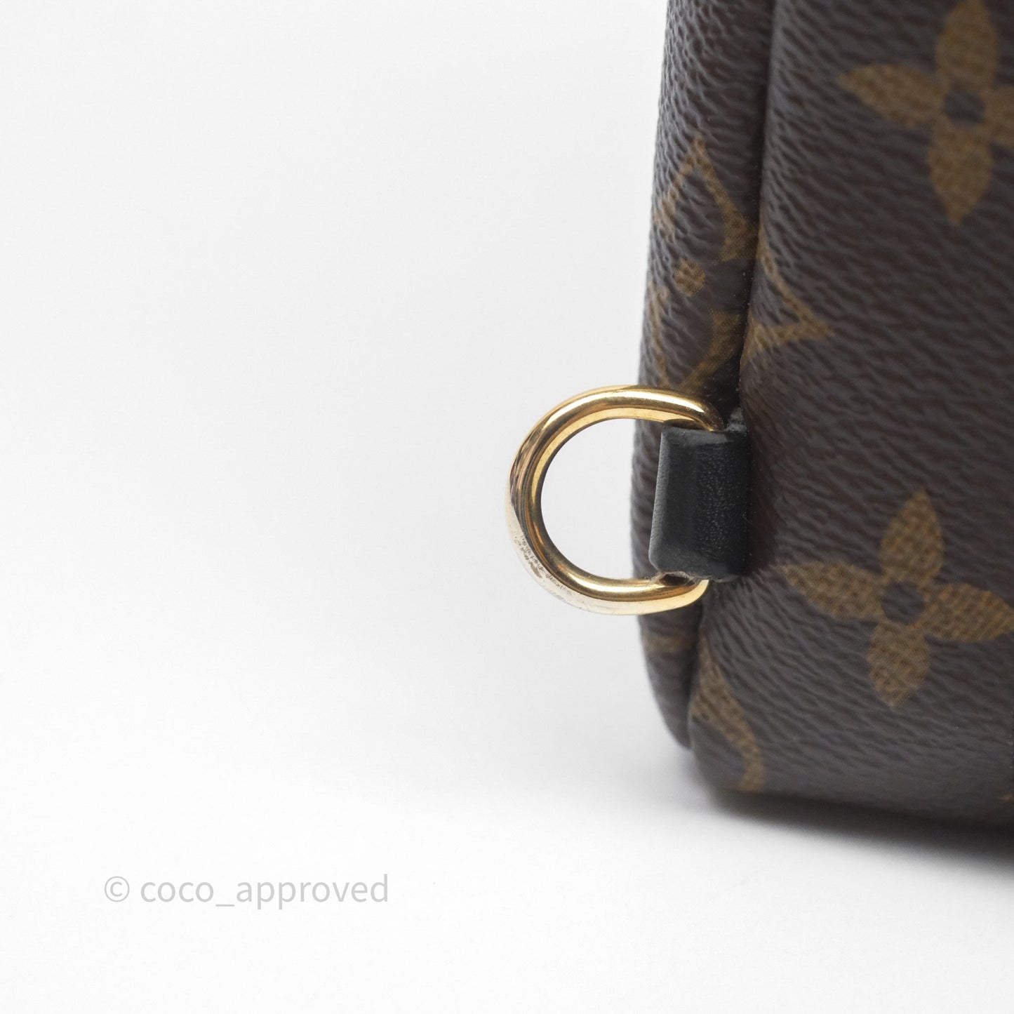 Louis Vuitton Mini Palm Springs Backpack⁣ Monogram