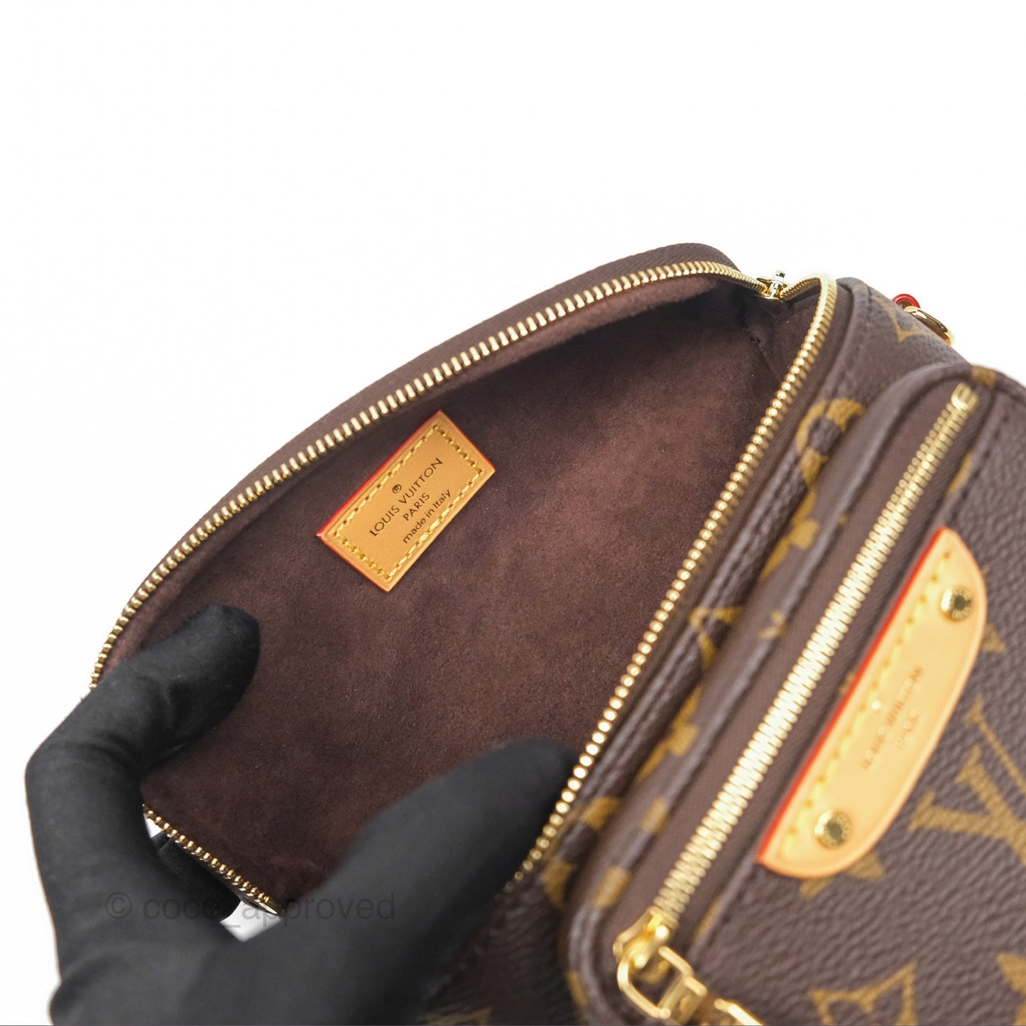 Louis Vitton Mini Bumbag in Monogram Canvas