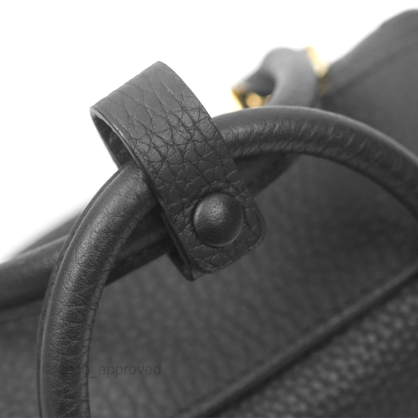 Delvaux Cool Box Nano Taurillon Soft Grained Calfskin Black Gold Hardware