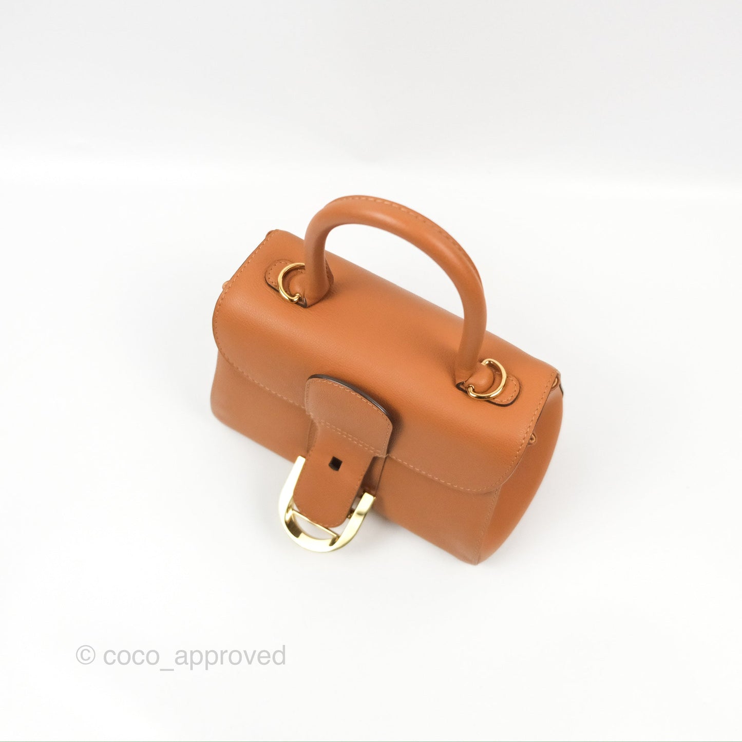 Delvaux Mini Brillant Bag Vegetal Rodeo Calf Gold Hardware